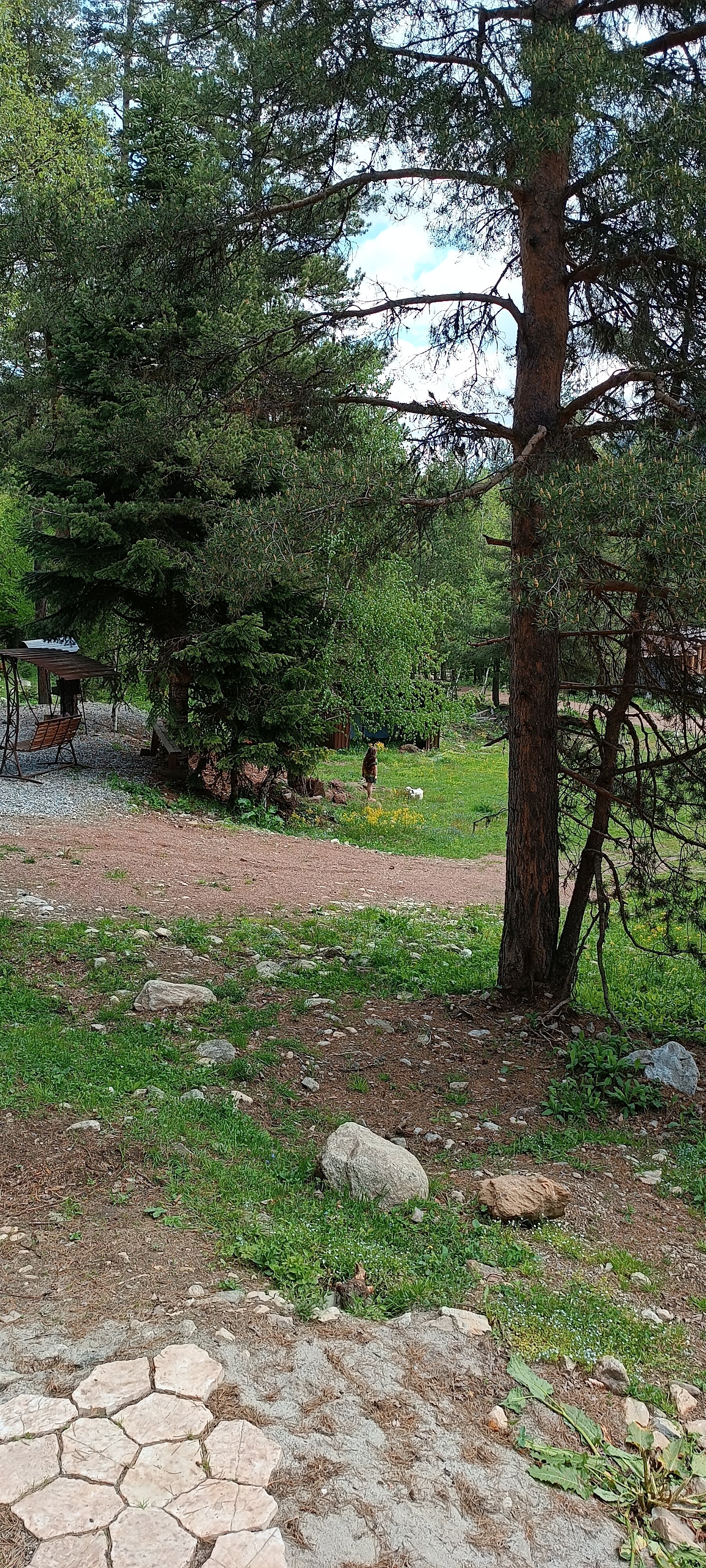 Фото Paradise Arkhyz