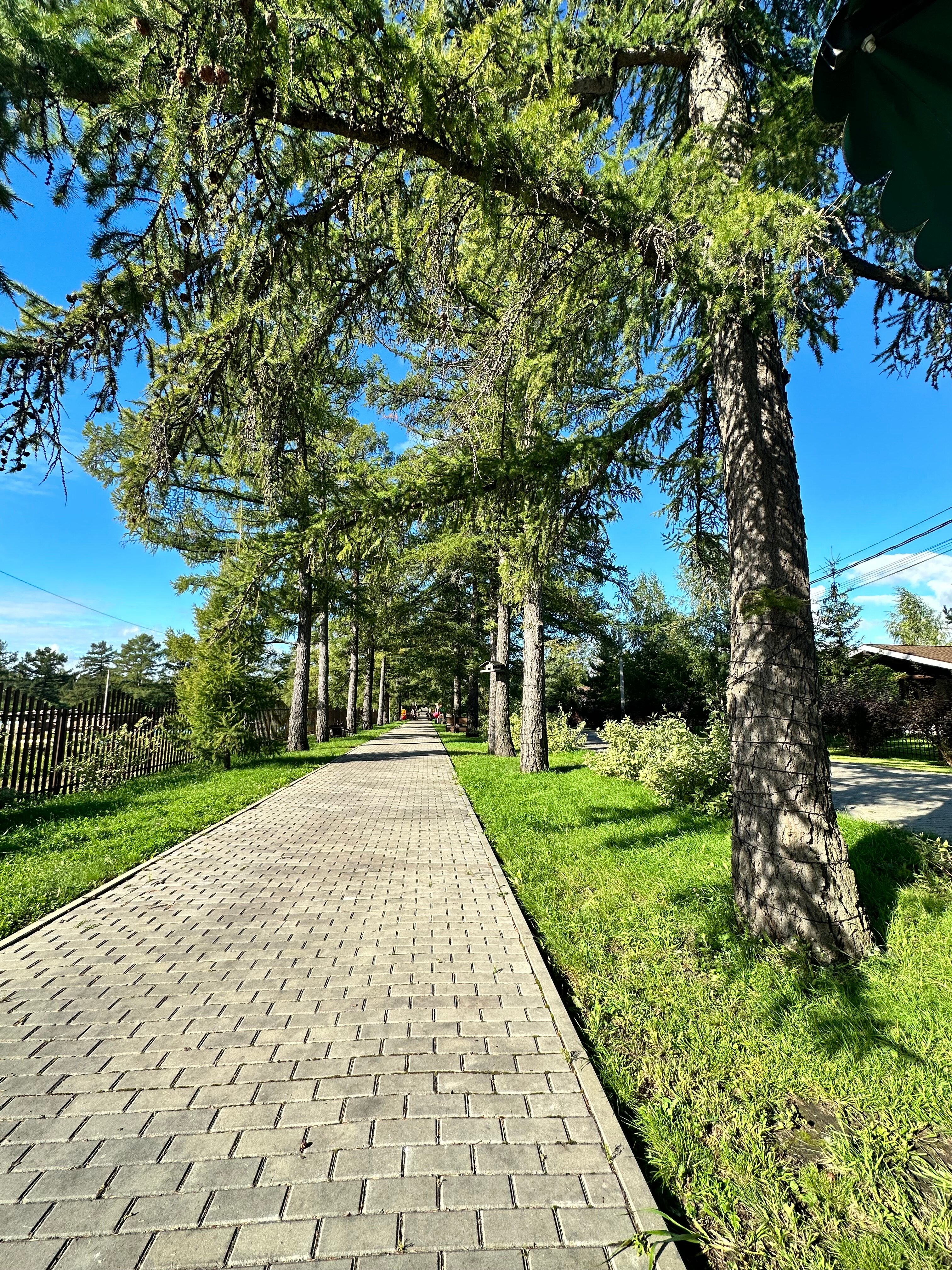 Фото Дольче Вита