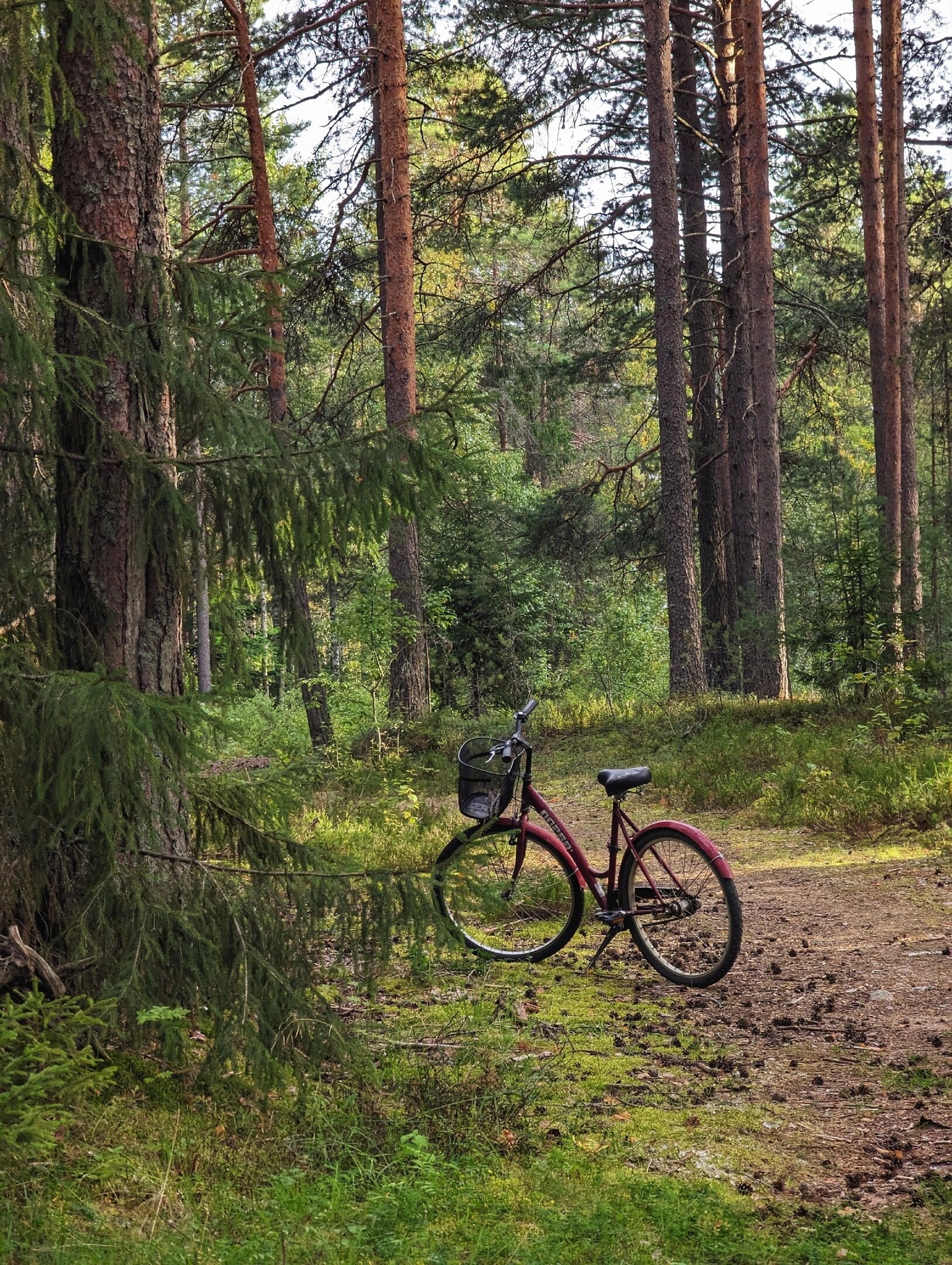 Фото Жи-Ши Шалаши