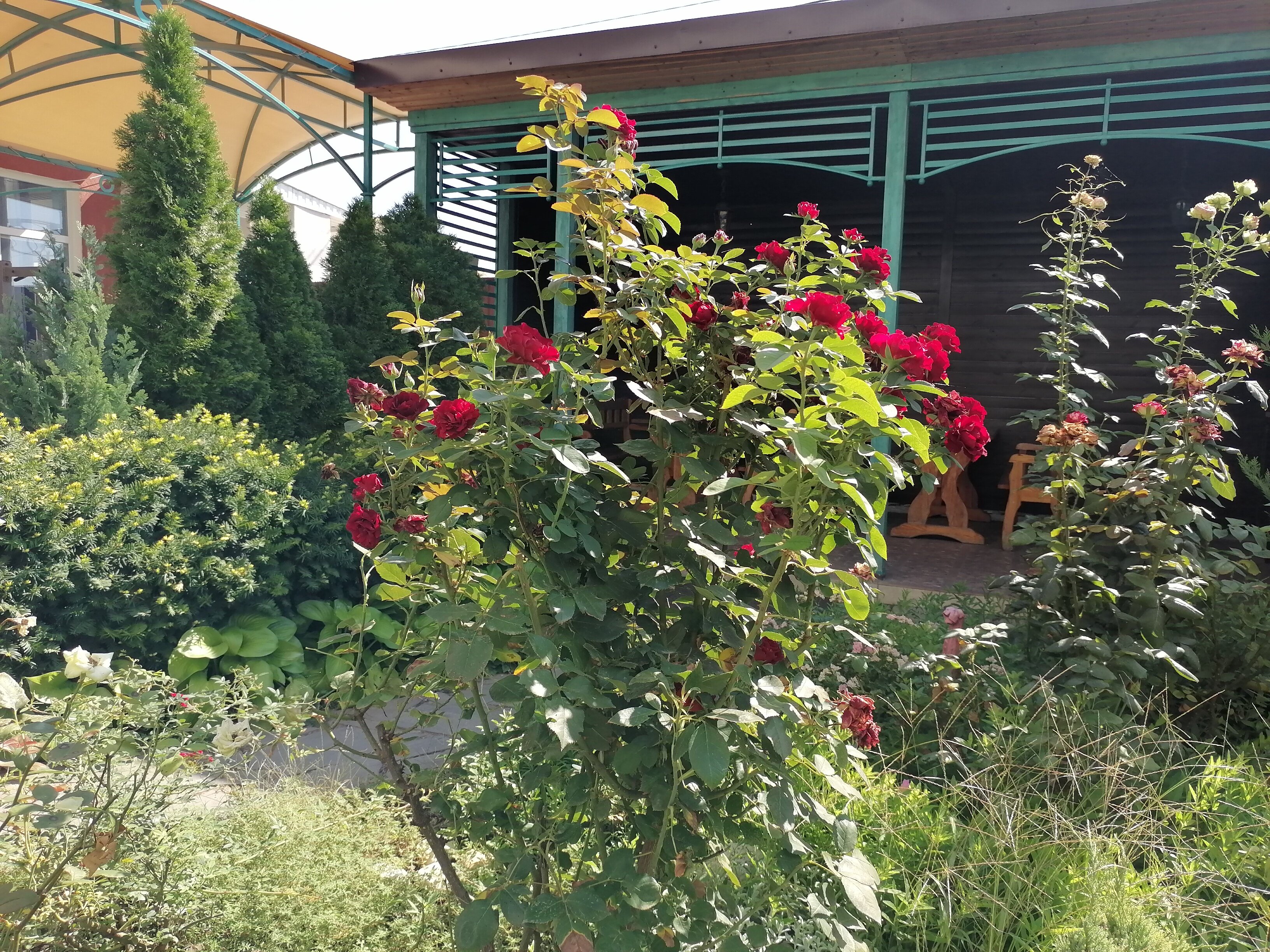 Фото Два маяка