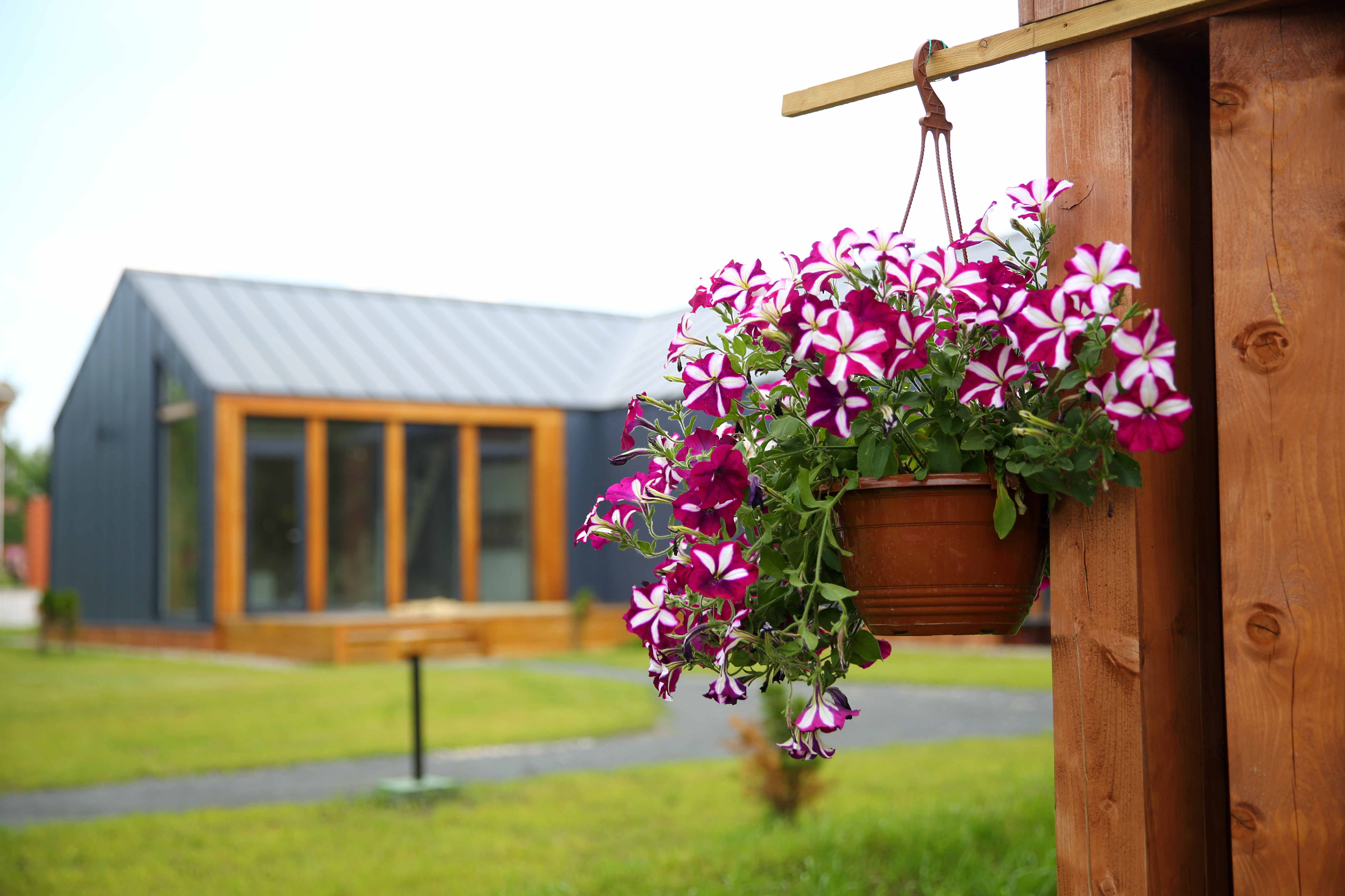 Фото ЭкоНевидалЬ