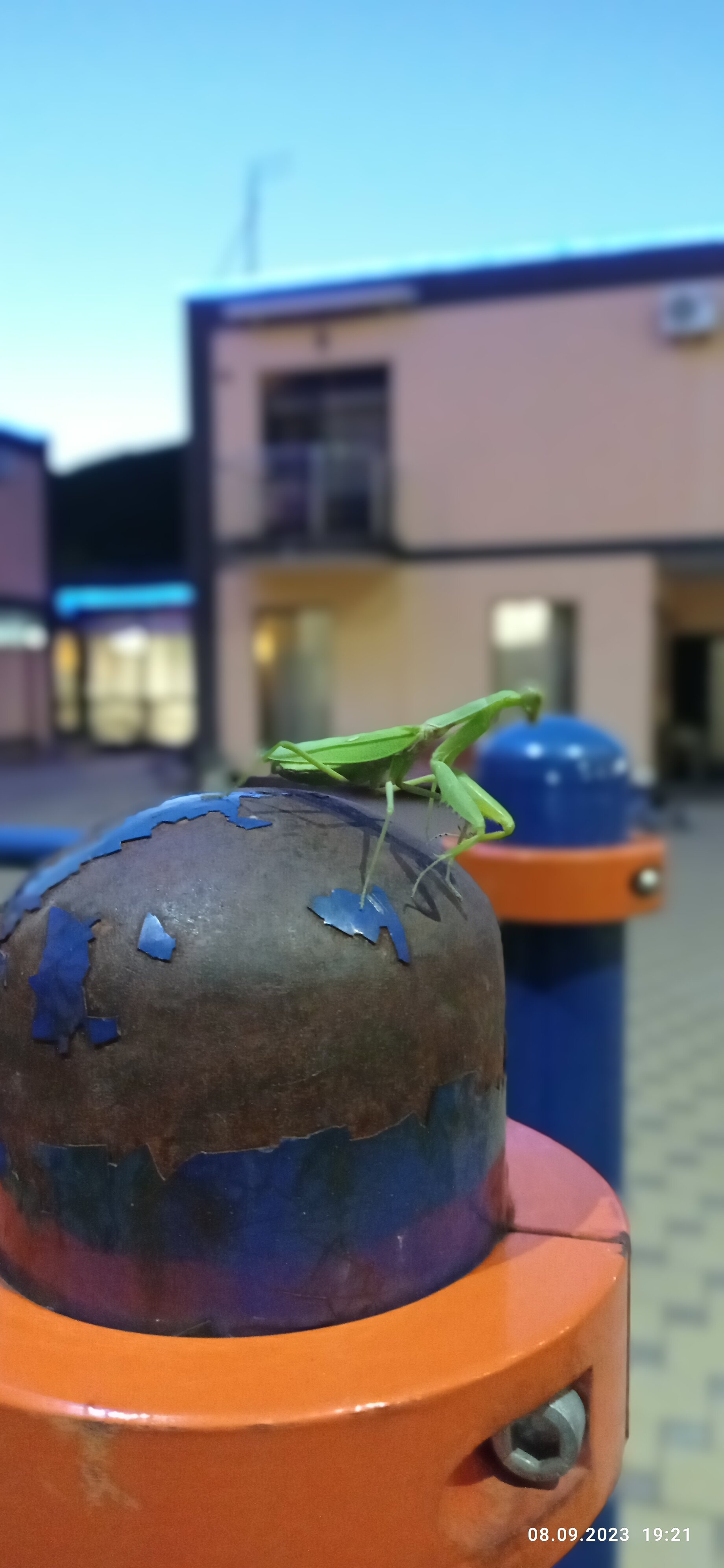 Фото Золотой Восход