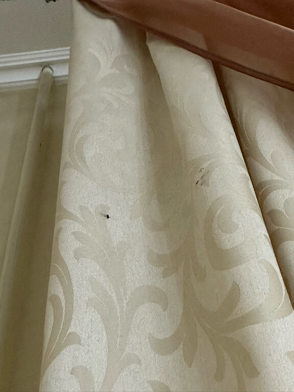 Фото Алекс Холл