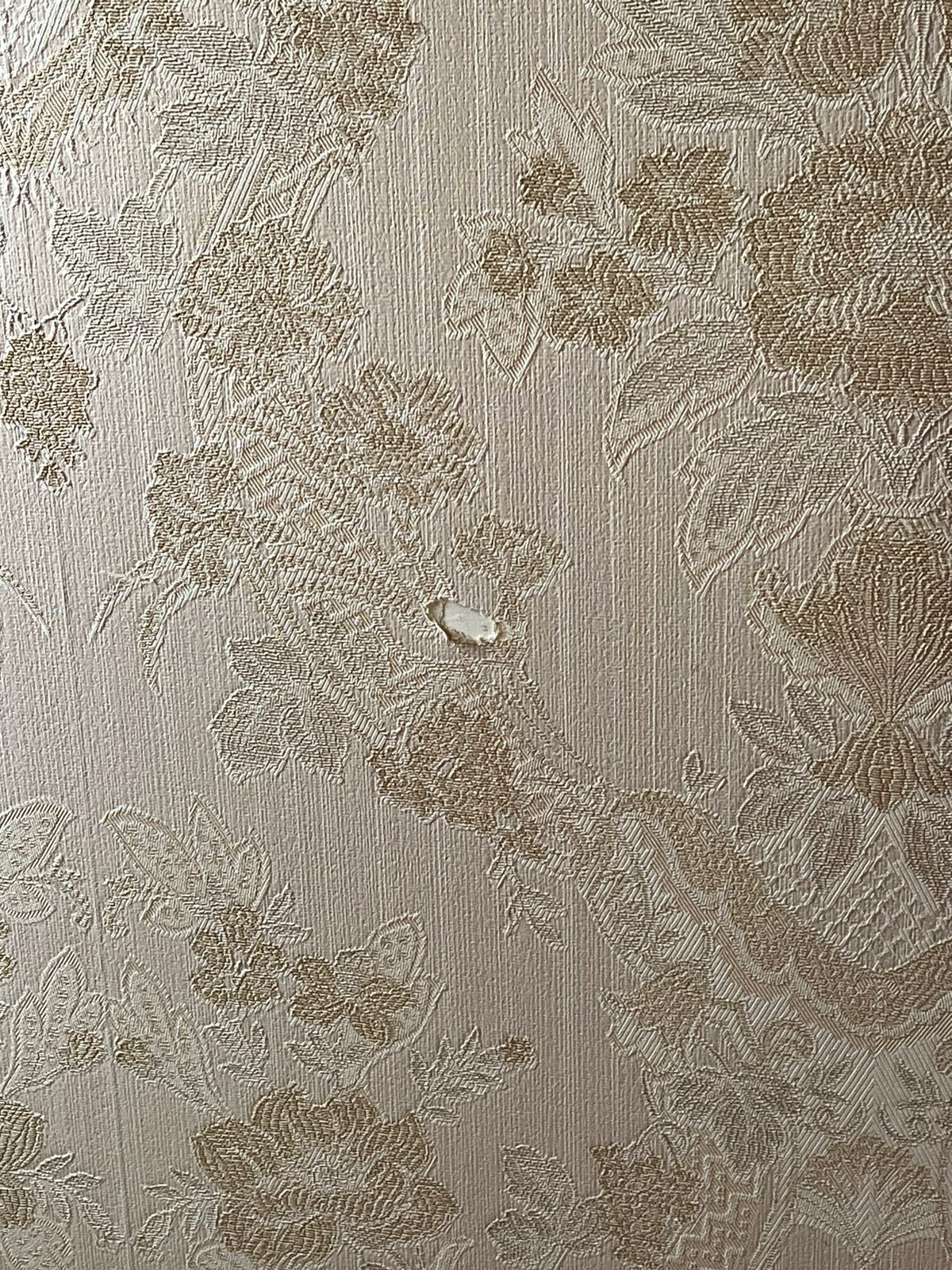 Фото Гламур