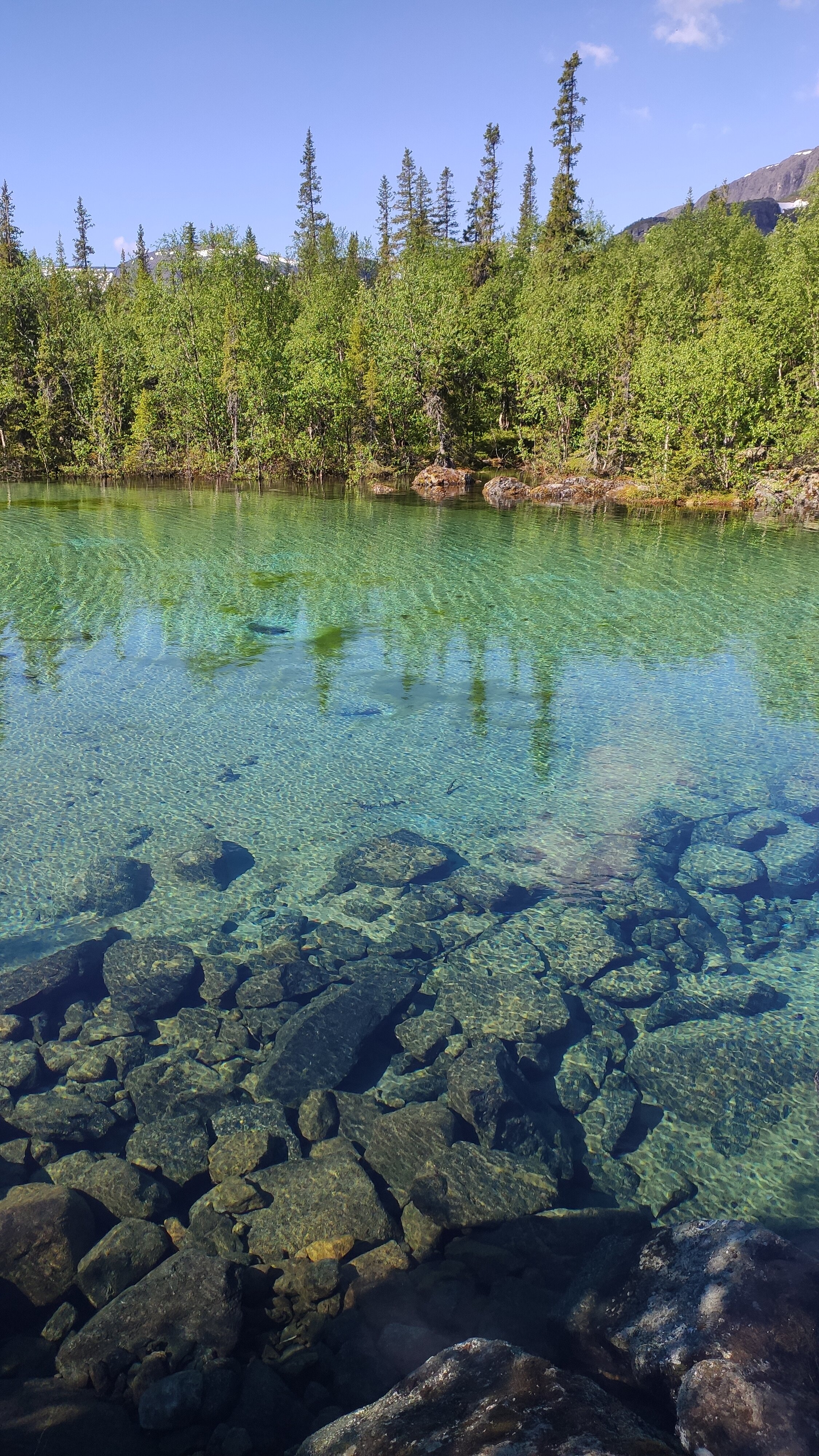 Фото База отдыха у Сейдозера