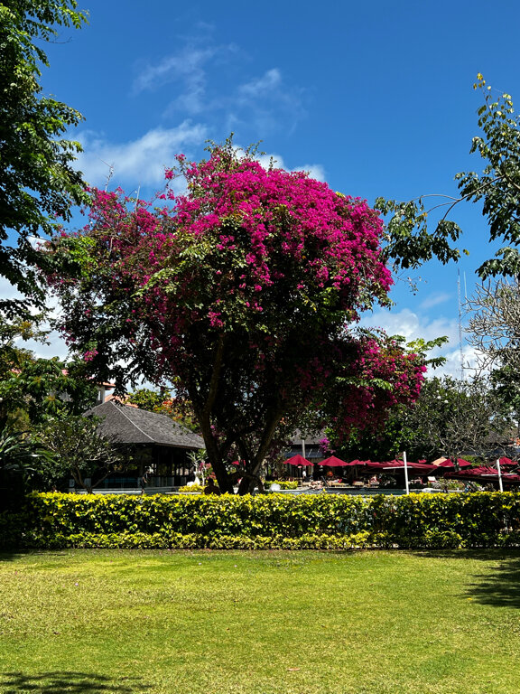 Фото Novotel Bali Nusa Dua - Hotel & Residences