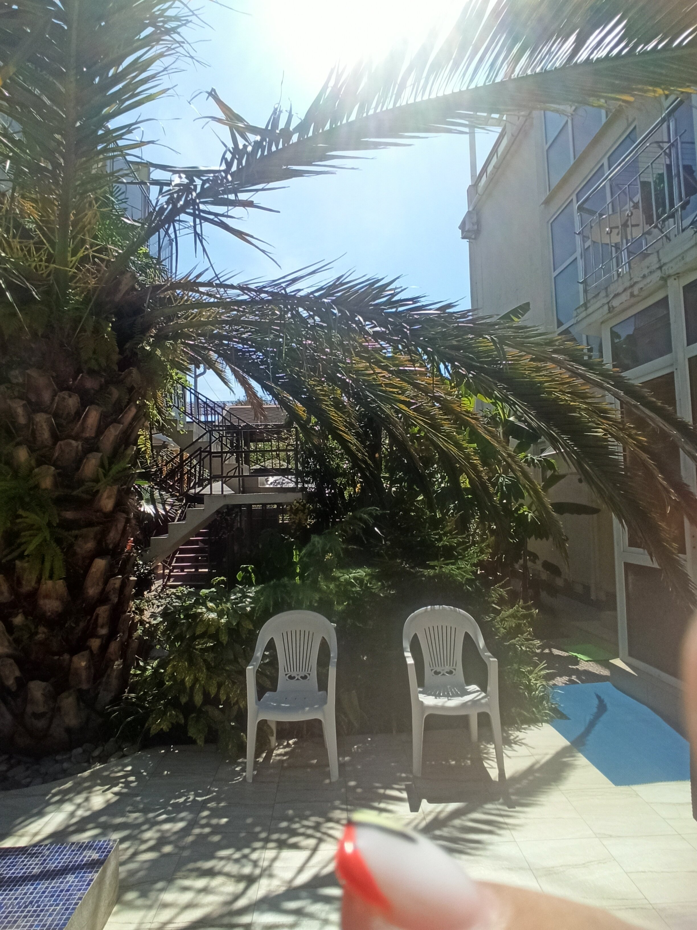 Фото Сириус