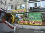 Сад-огород (ул. Вайнера, 33, Первоуральск), магазин для садоводов в Первоуральске