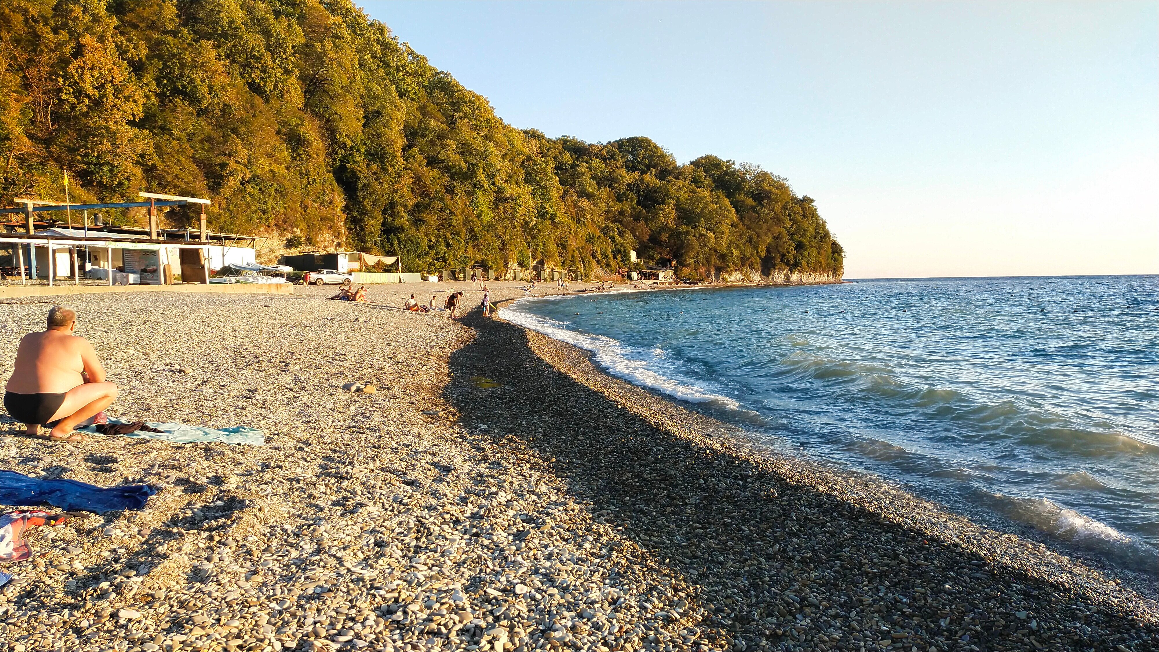 Фото Дельфин