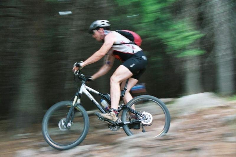 Фото Landhaus Zu Den Rothen Forellen Hotel