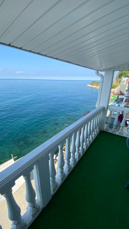 Фото Эллинг Валенсия 75