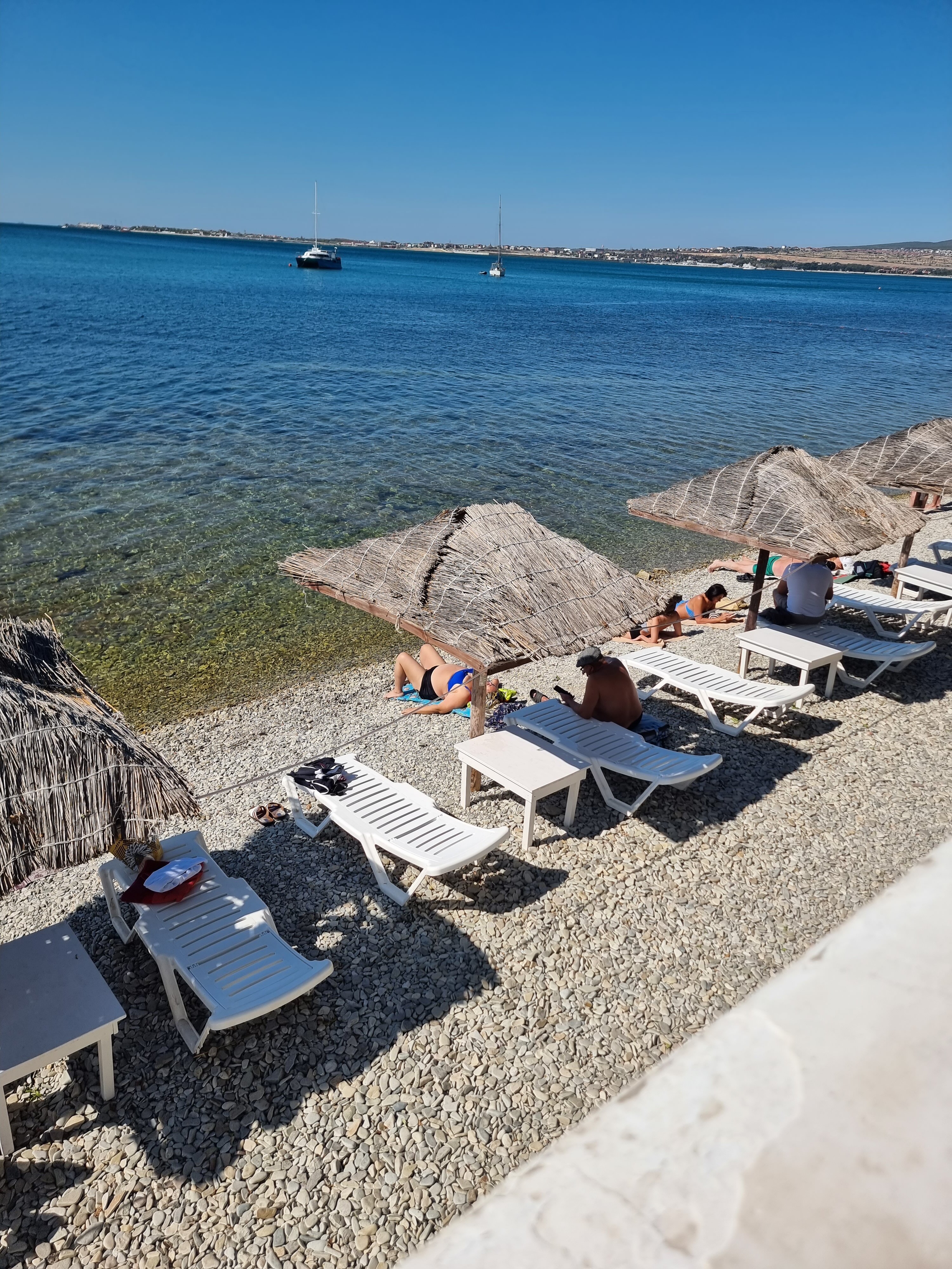 Фото Магнолия