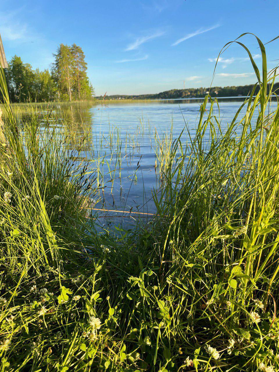 Фото Дом у заповедника