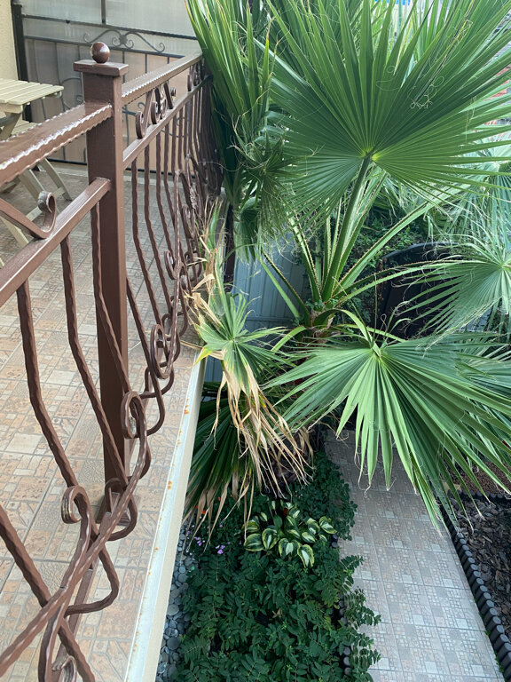 Фото Гостевой дом Лето