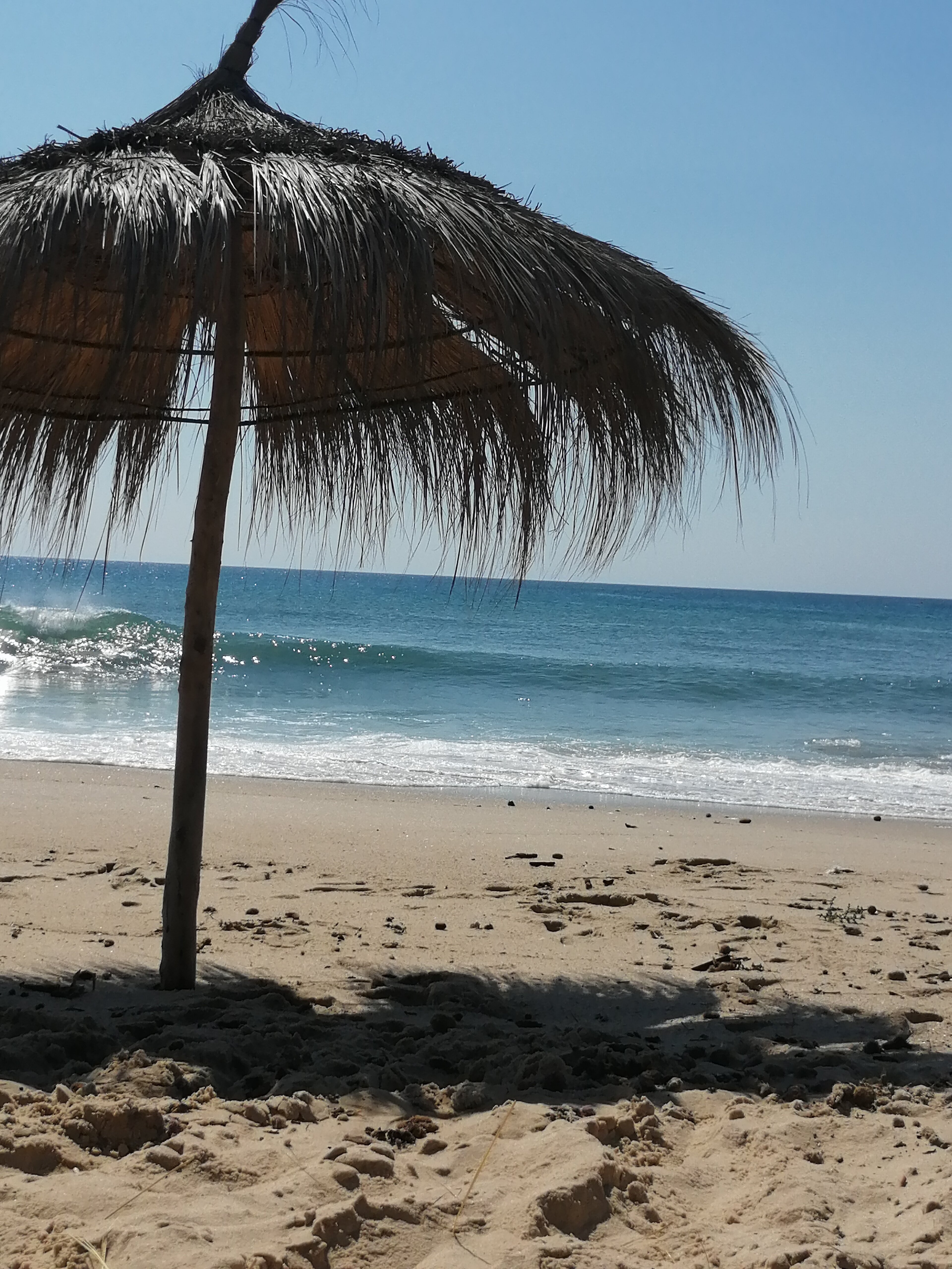 Фото Hotel Bel Azur Thalasso & Bungalows