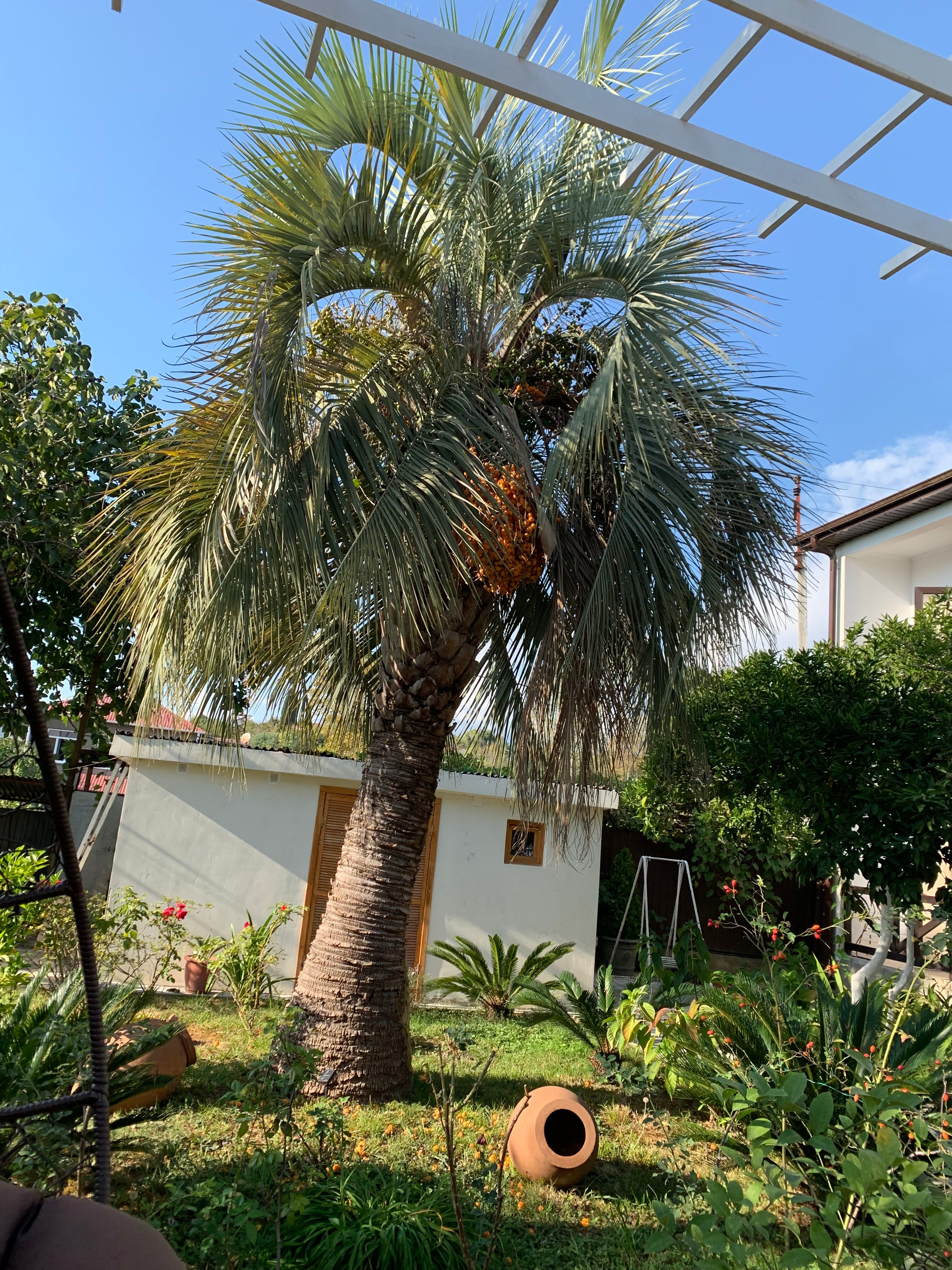 Фото Лермонтов