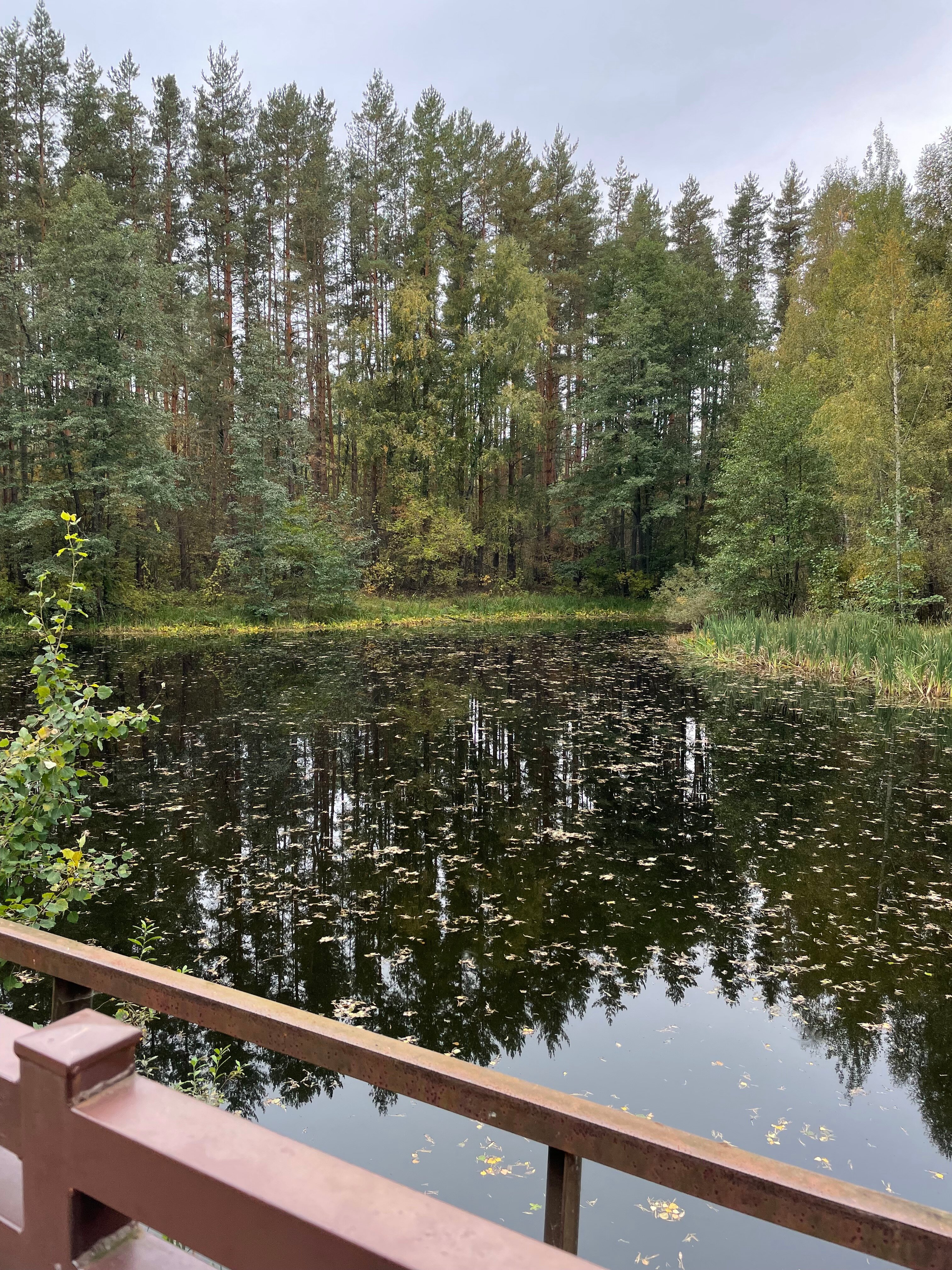 Фото Спутник