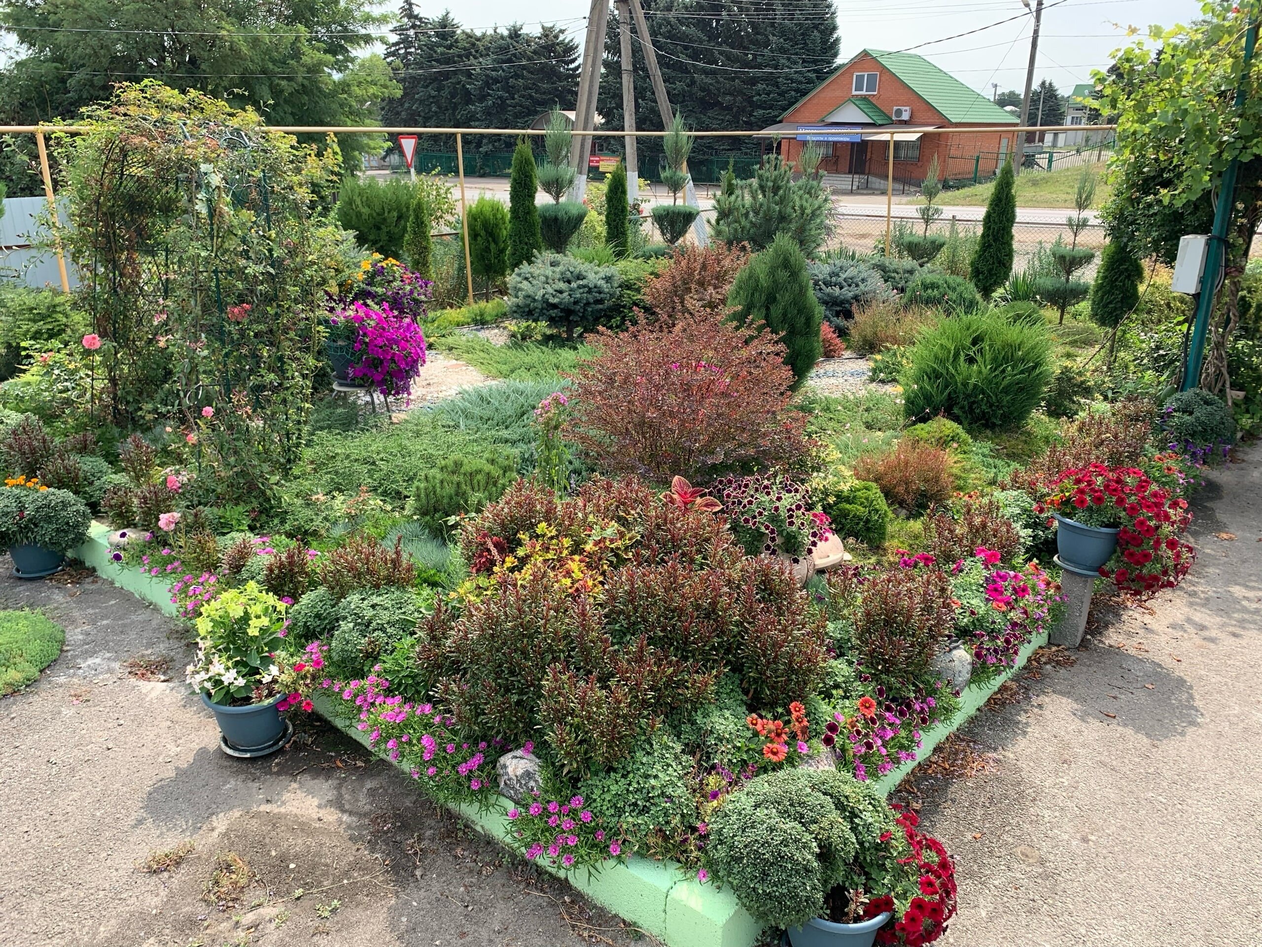 Фото отеля 3