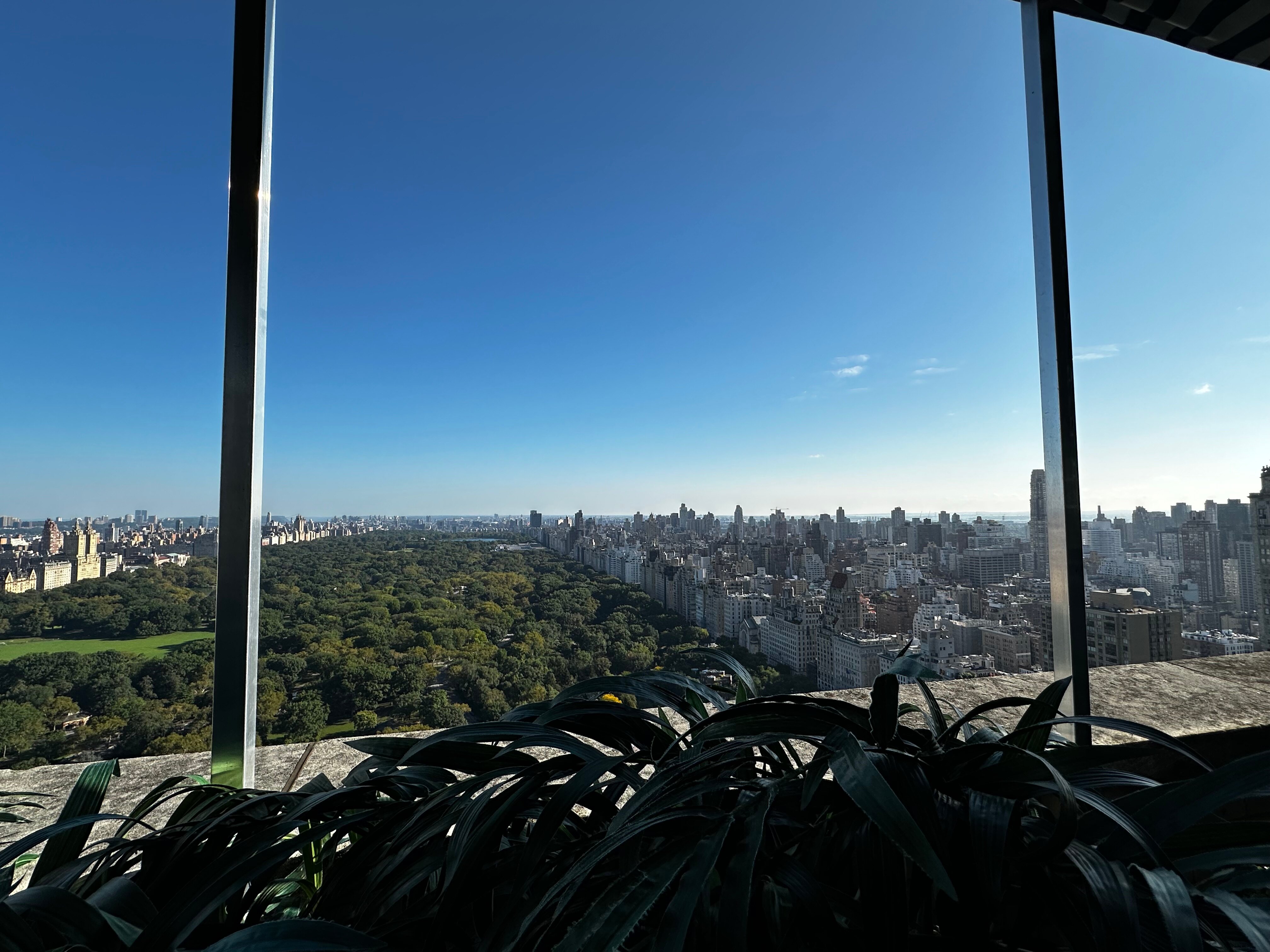 Фото Park Lane Hotel