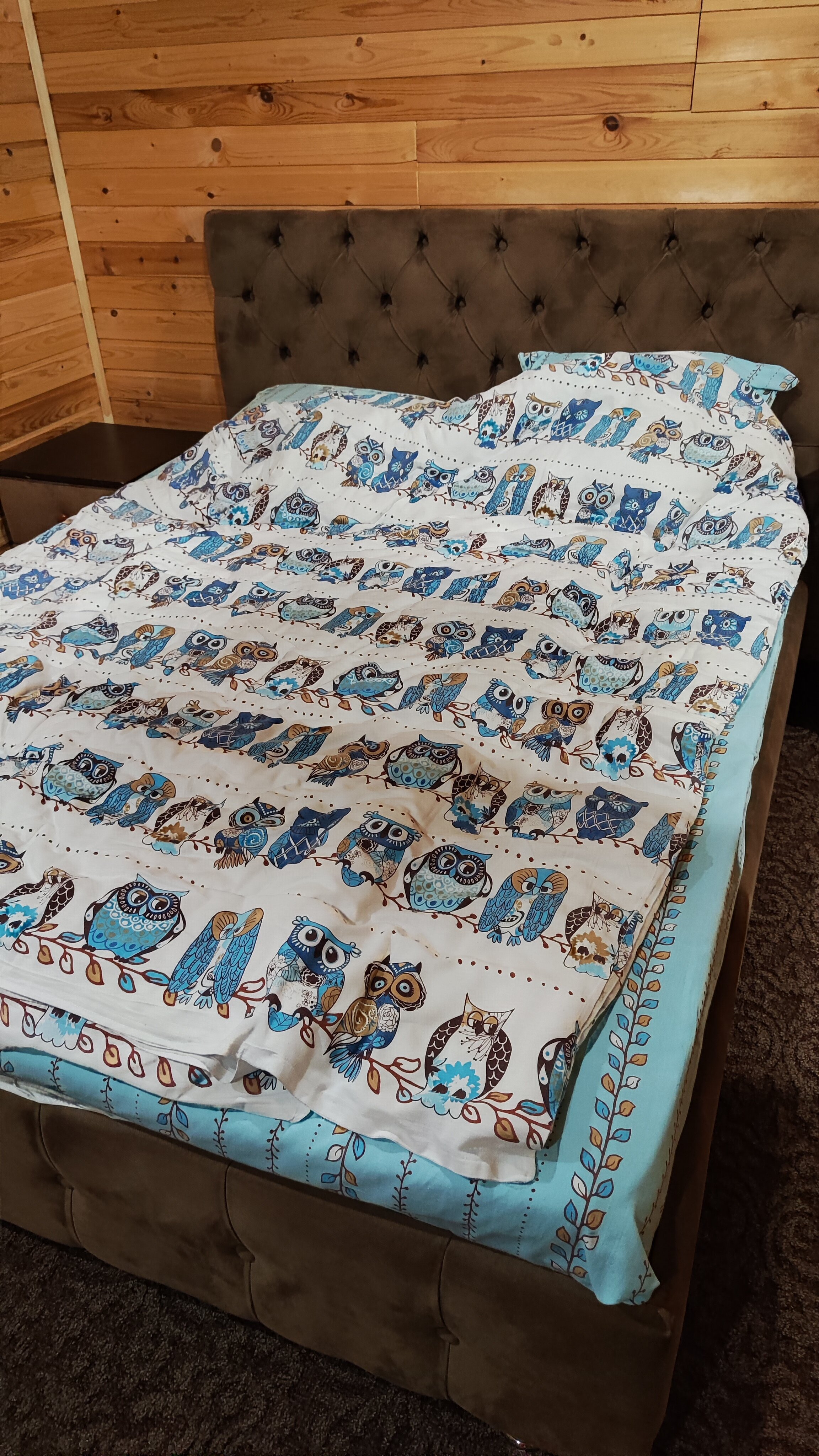 Фото Дом Совы