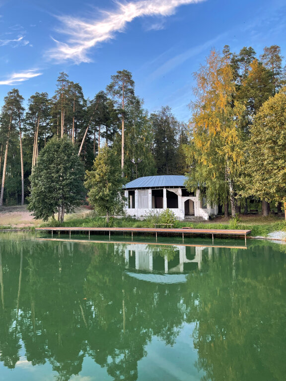 Фото Тихий Лес