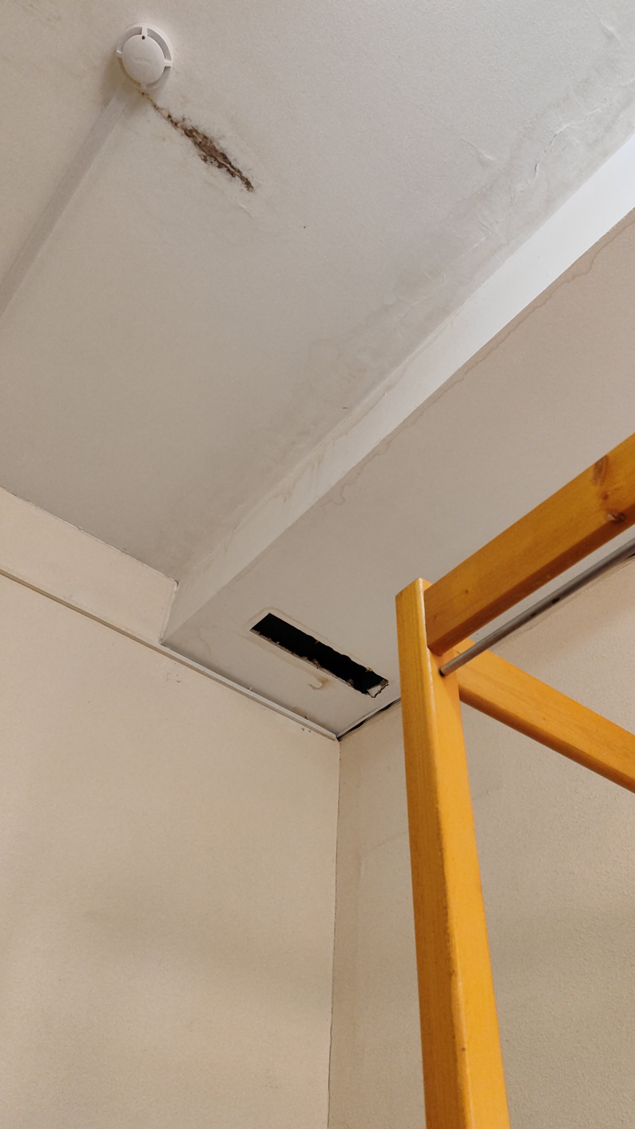 Фото Корона