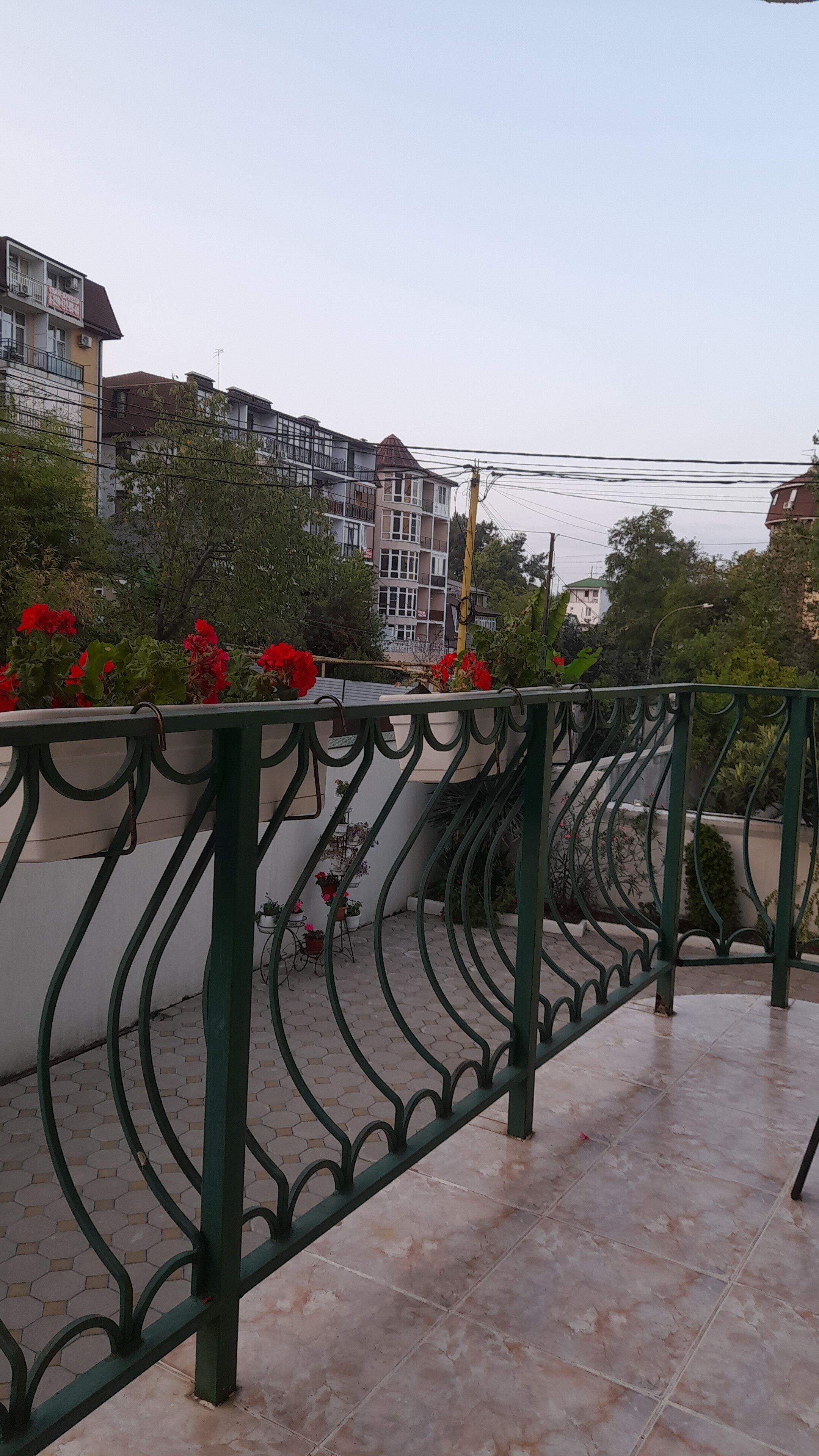 Фото Сочи Ярдъ