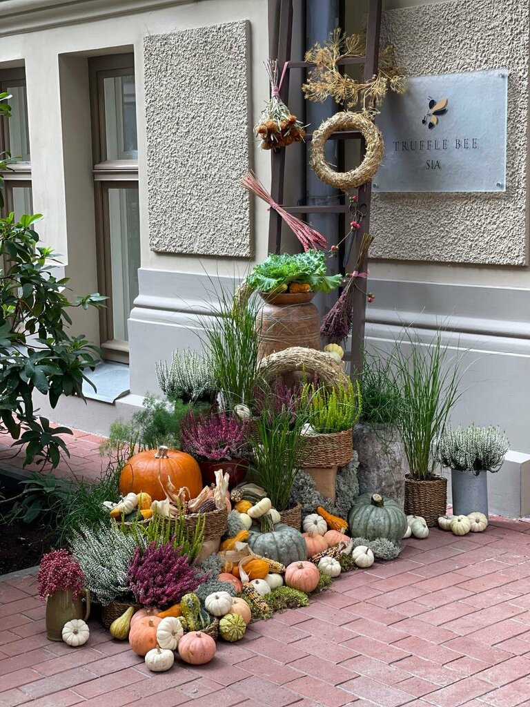 Textile company Truffle Bee, Riga, photo