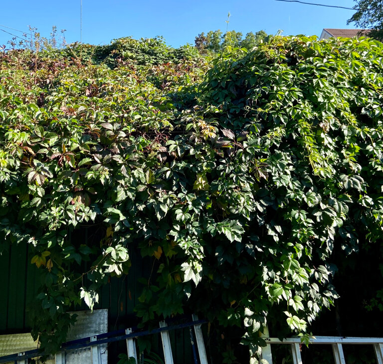 Фото Тамара