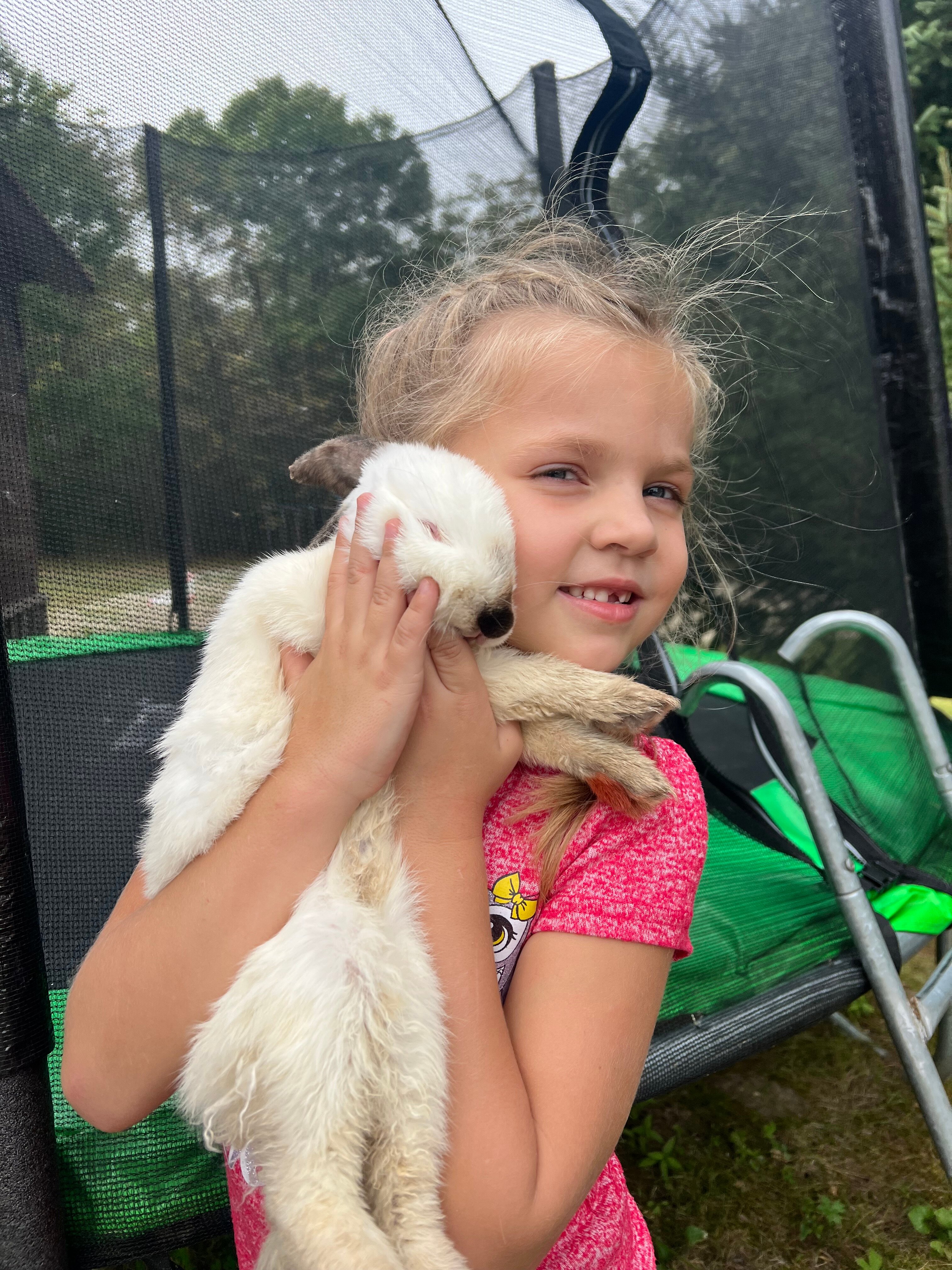 Фото Сплавной участок