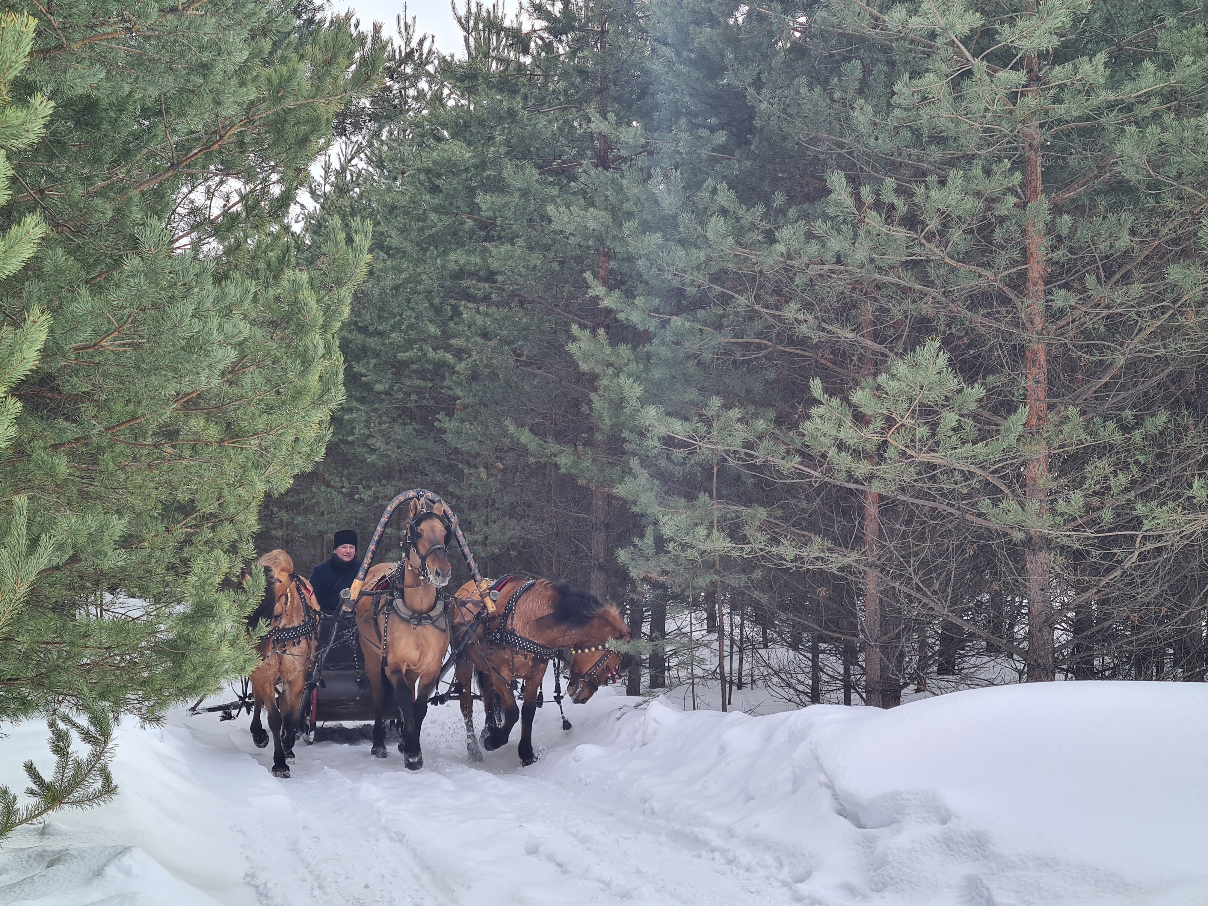 Фото Усадьба ямщика