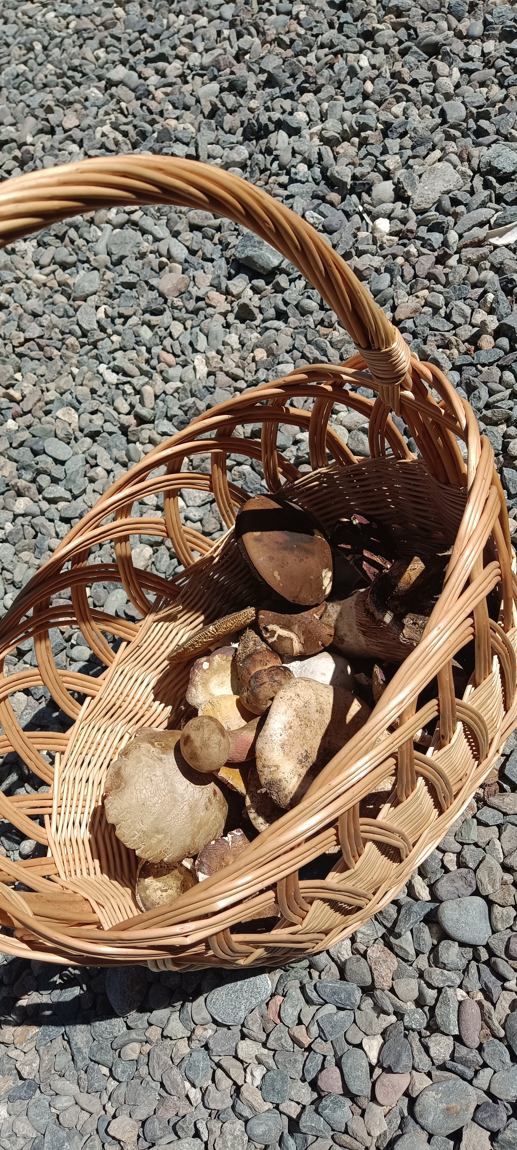 Фото Чегет-home