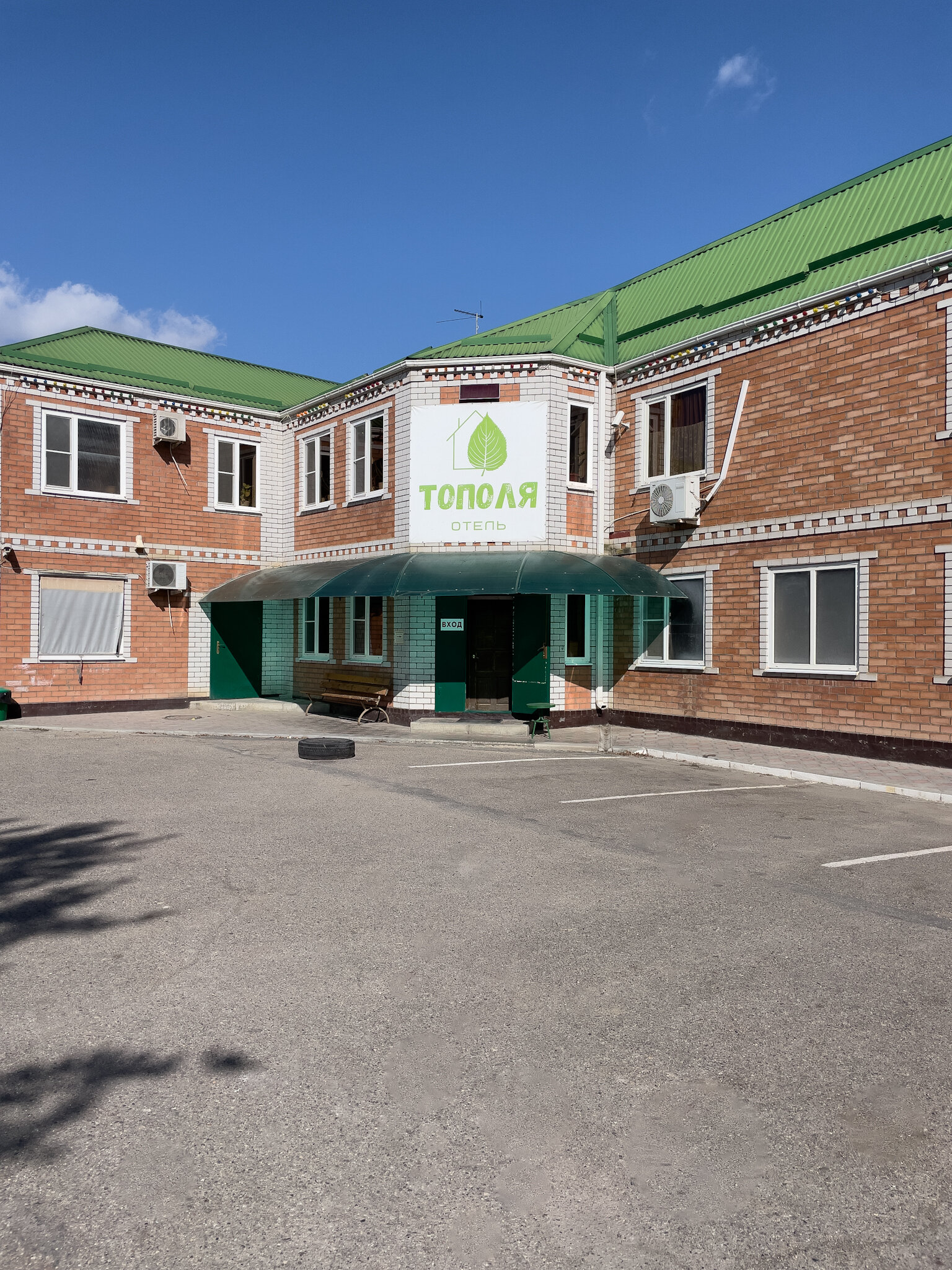 Фото Тополя