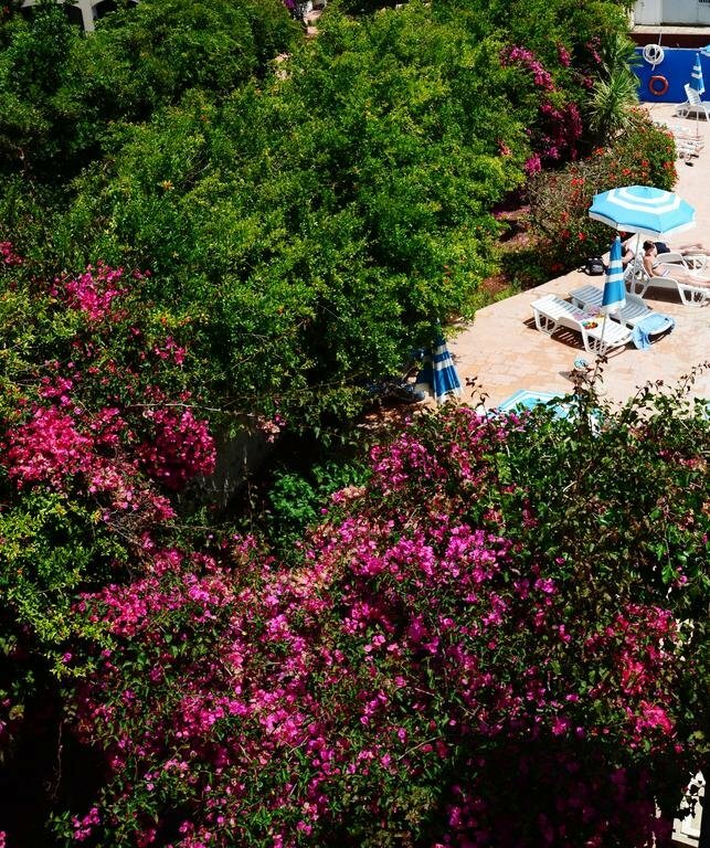 Фото Апартаменты Residenza Gli Eucalipti