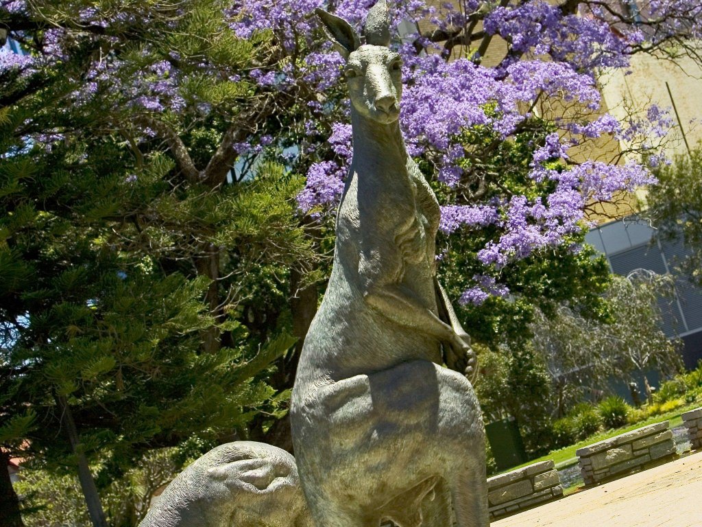 Фото Mercure Perth