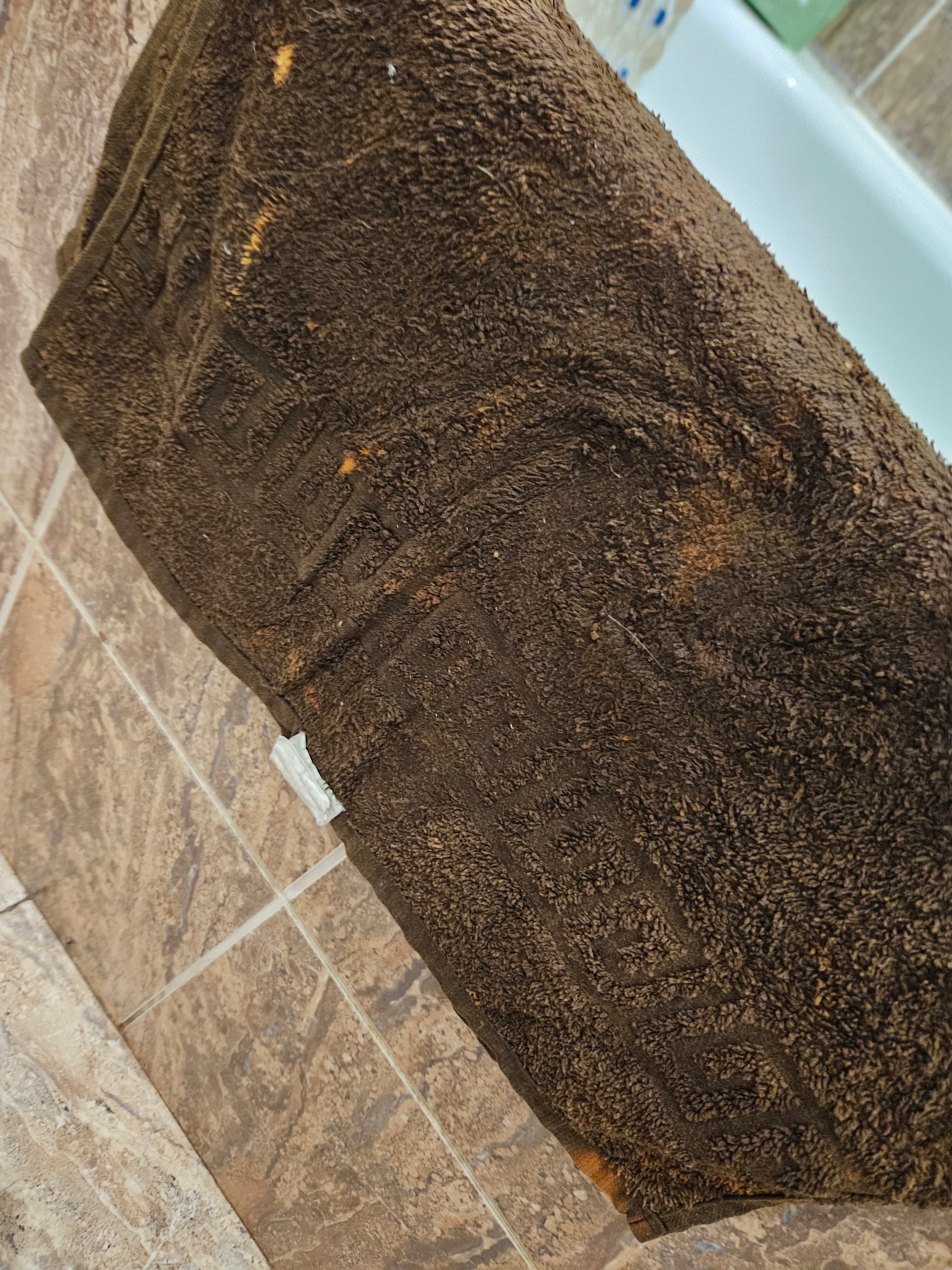 Фото Каприз