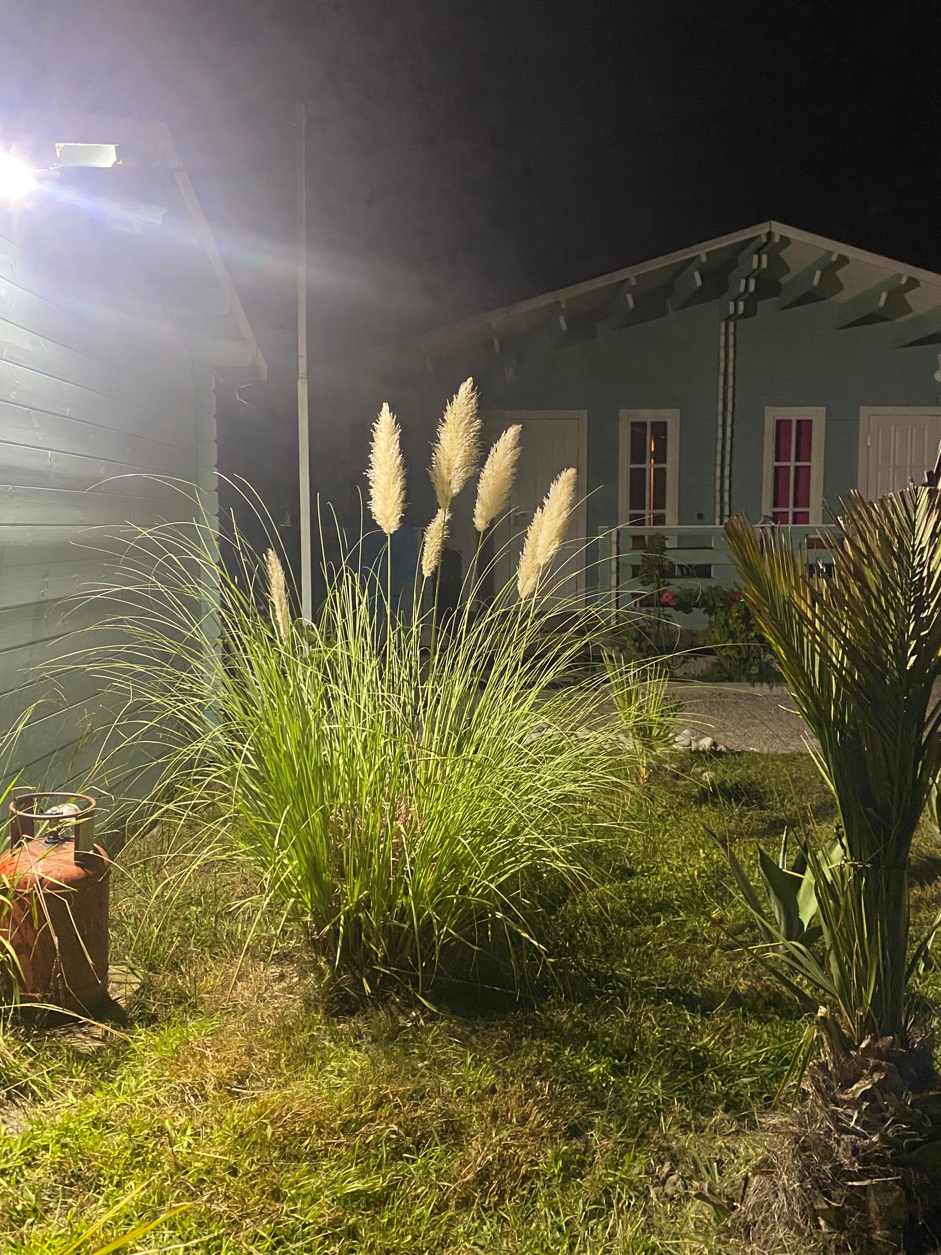 Фото Лазурный