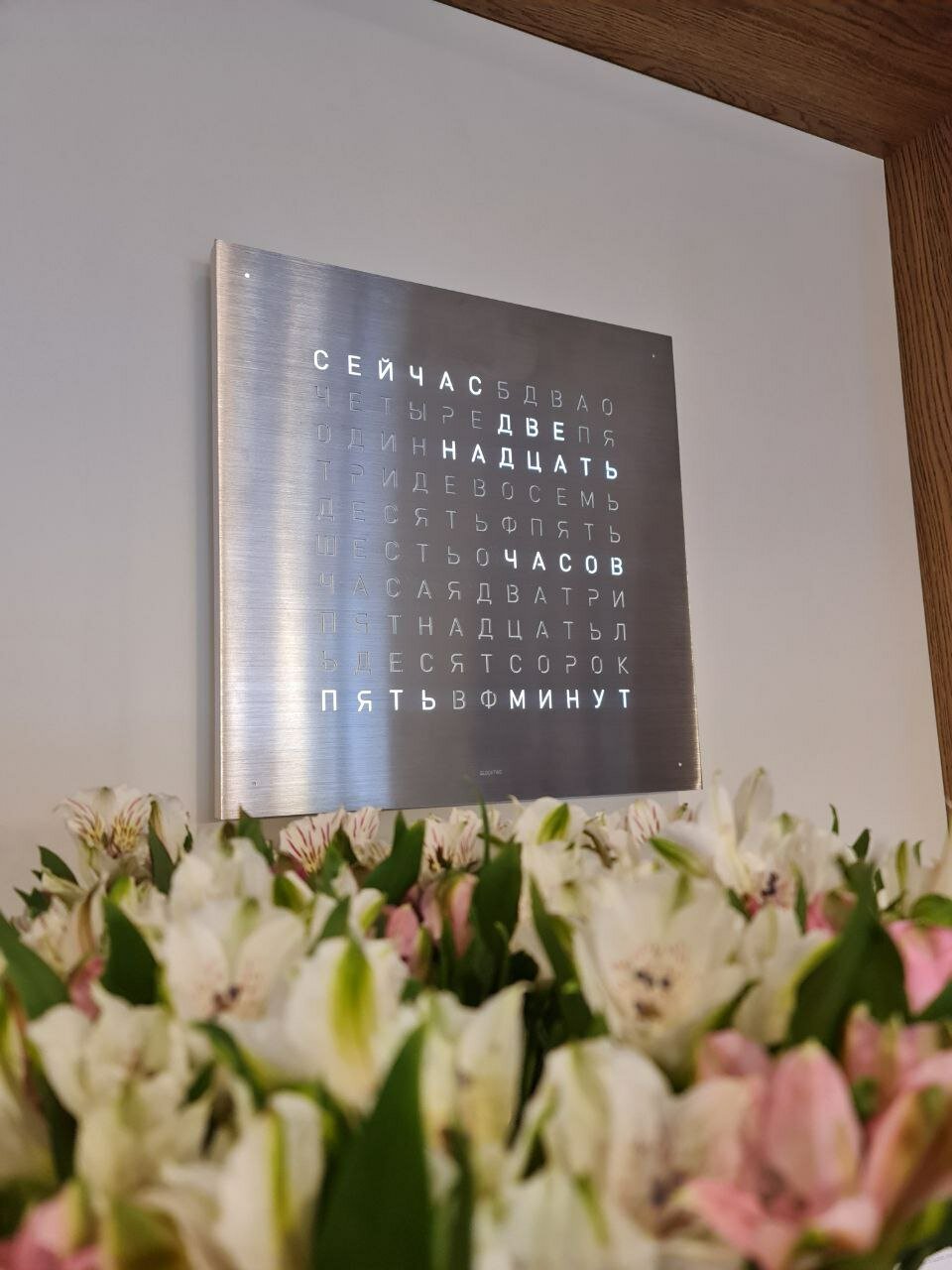 Фото Ирониум