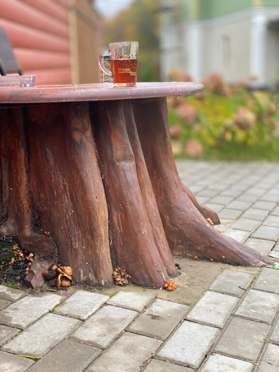 Фото Царедворье