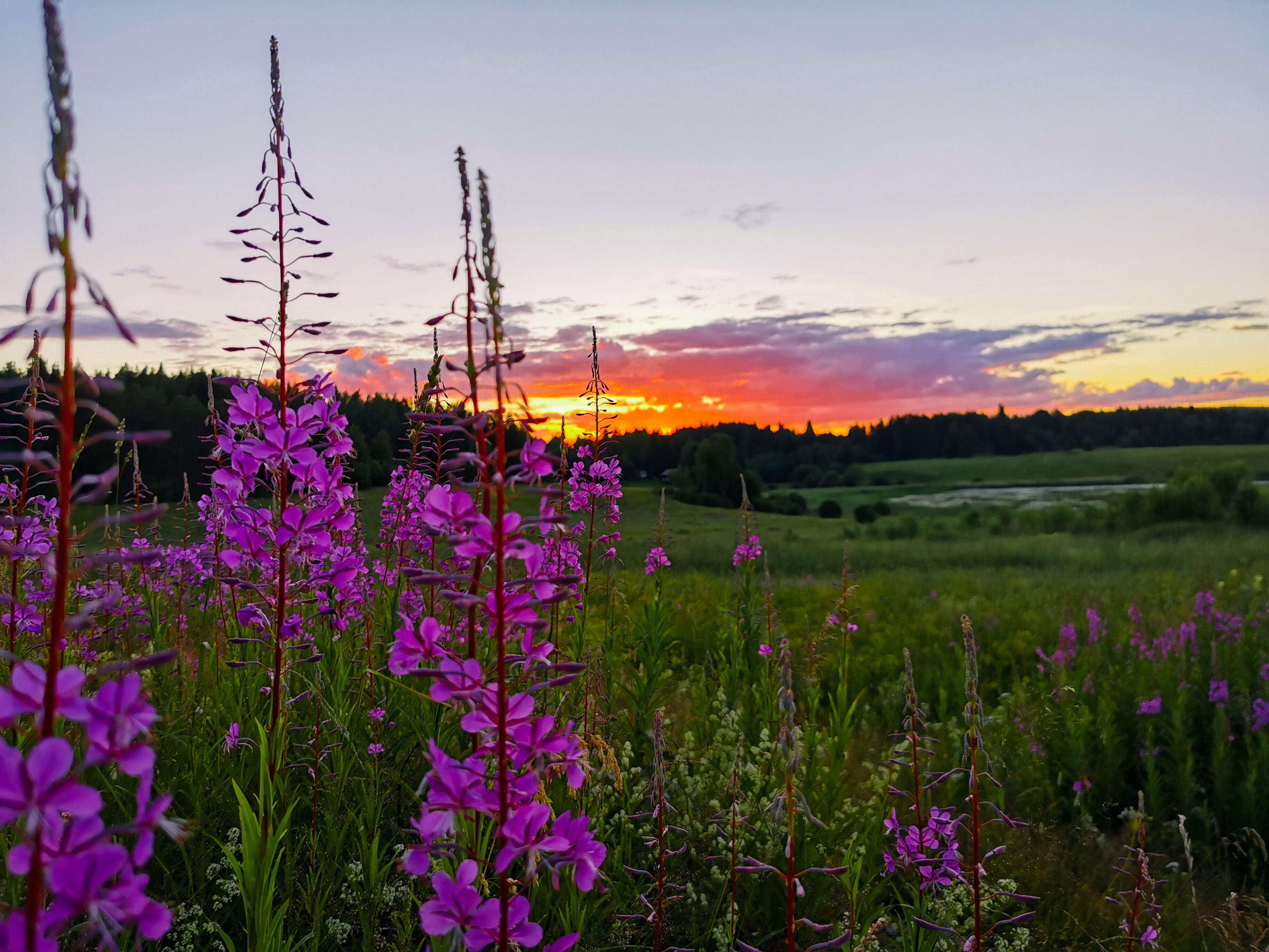 Фото Варёновка