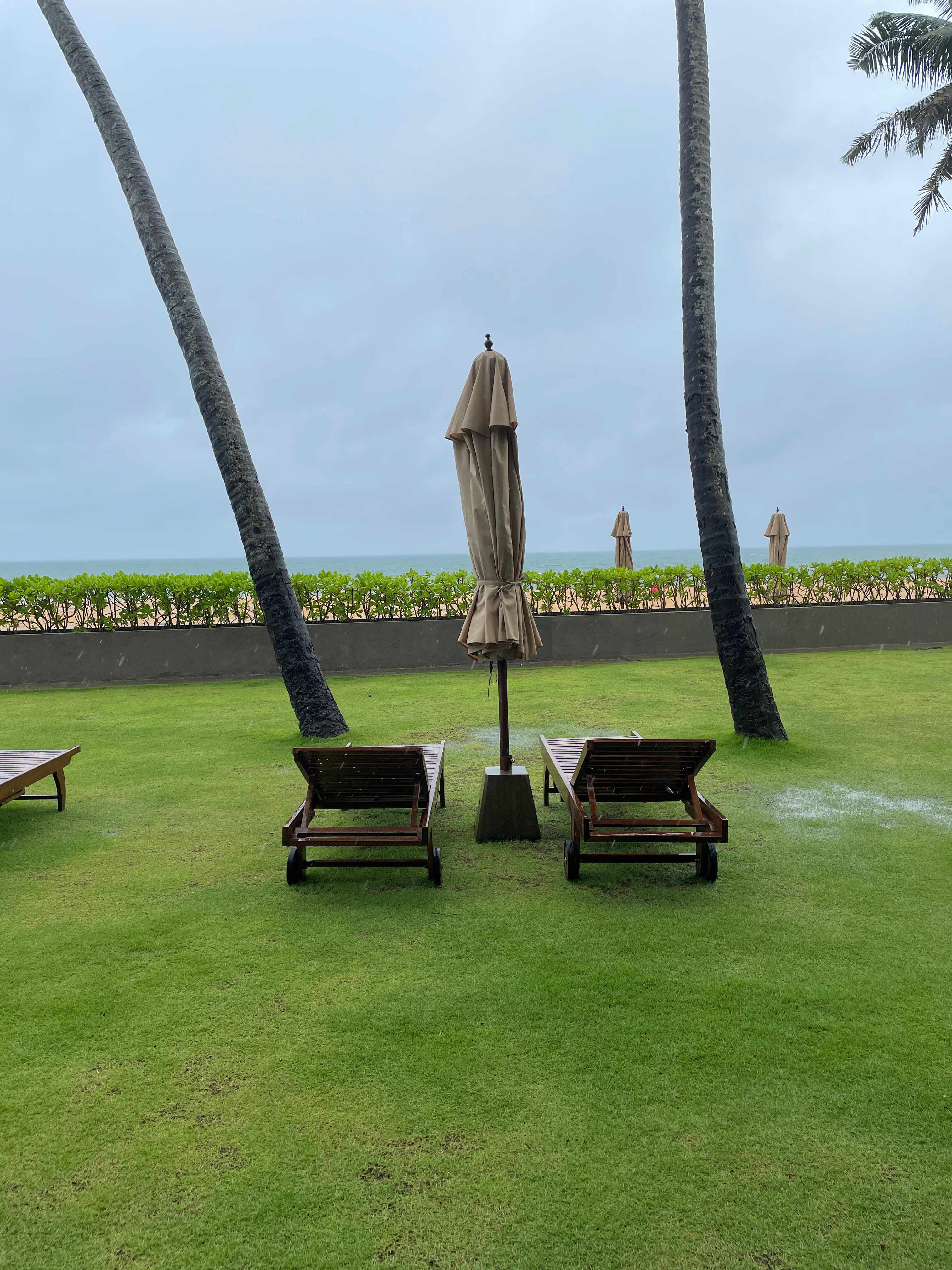 Фото Coral Sands Hotel