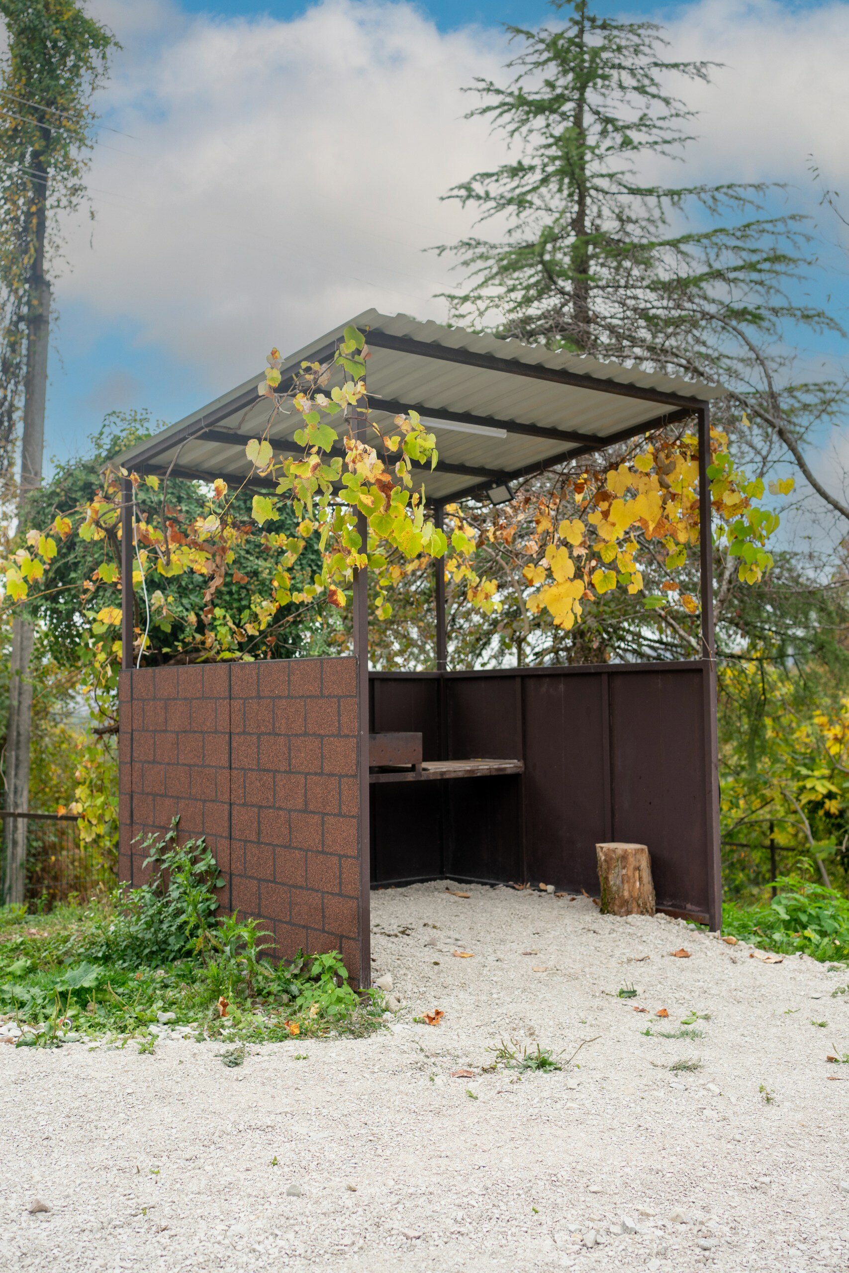 Фото Воронцовская Дача