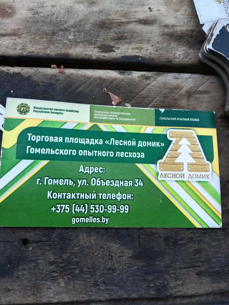 Logging, timber sales Гомельский опытный лесхоз, площадка Лесной домик, Gomel, photo