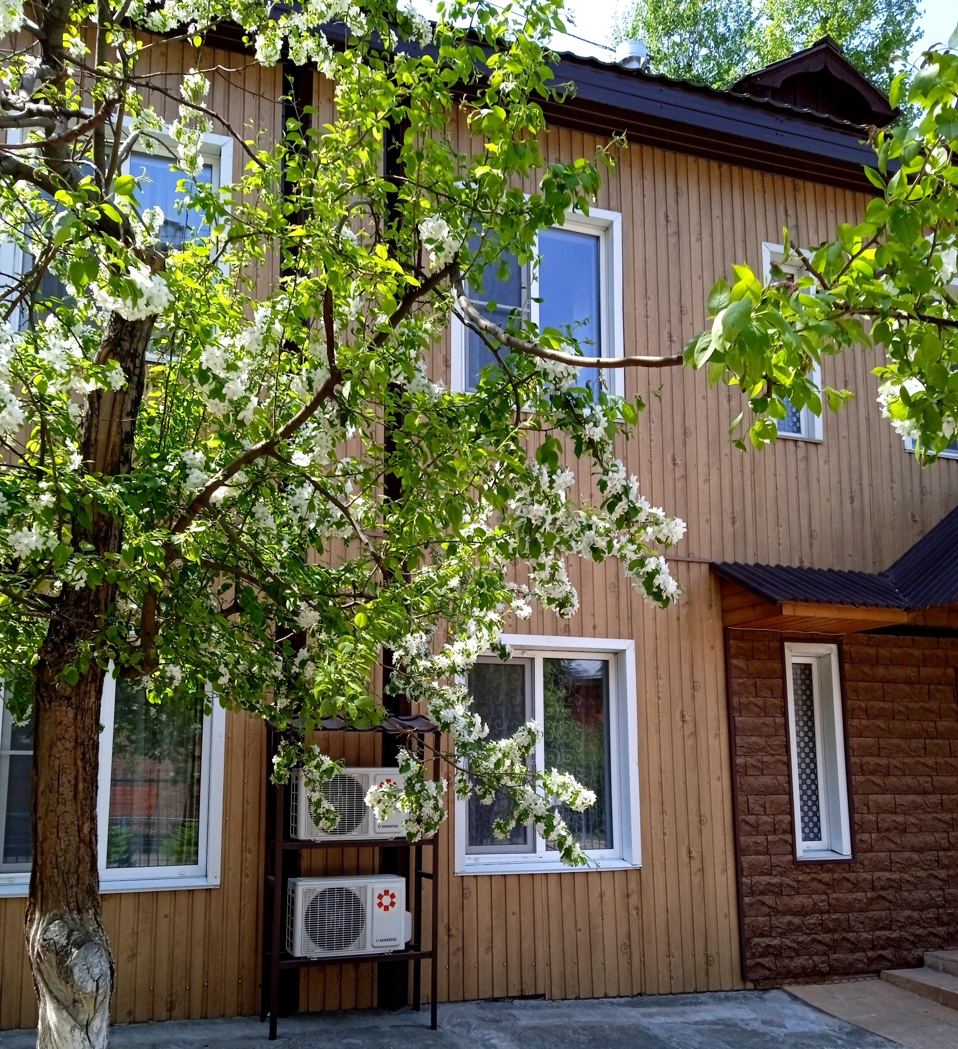 Фото Комфорт отель