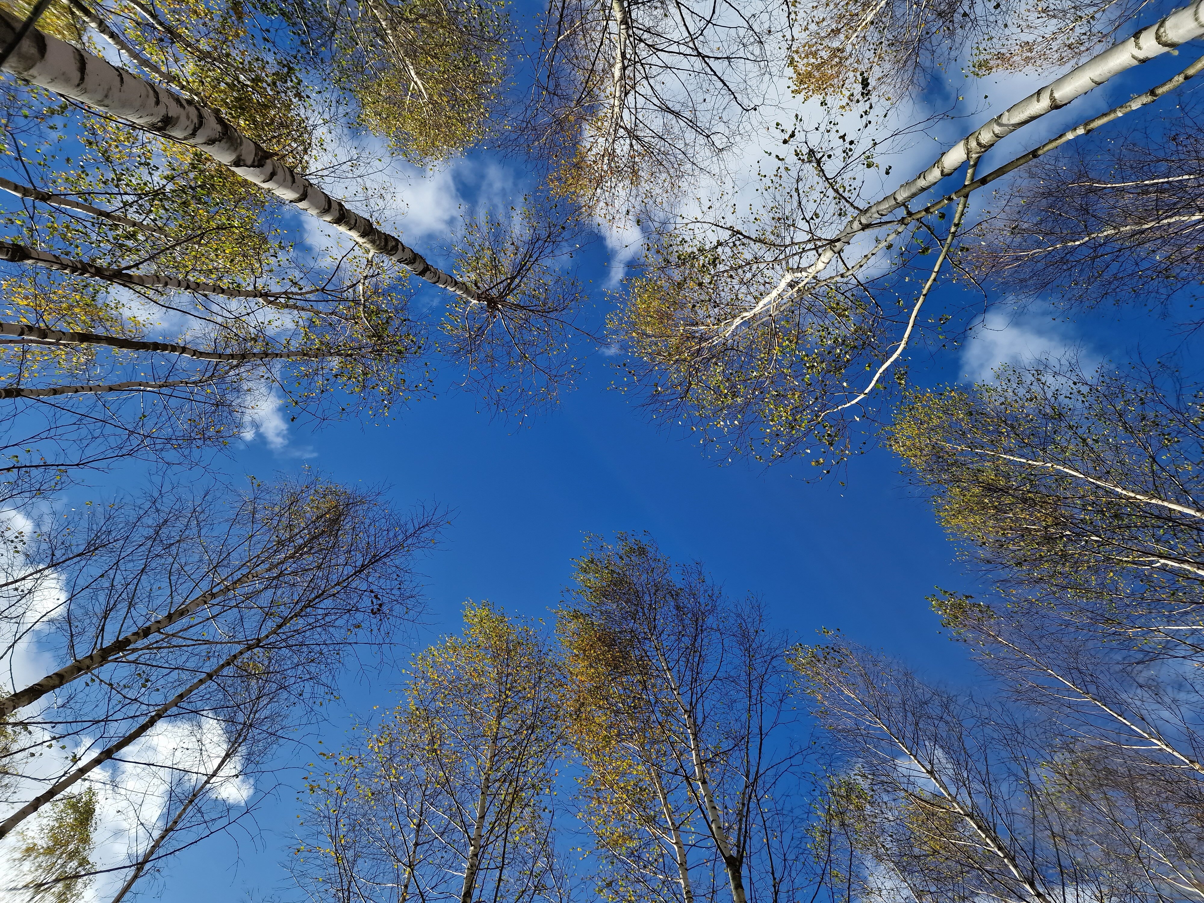 Фото Light House