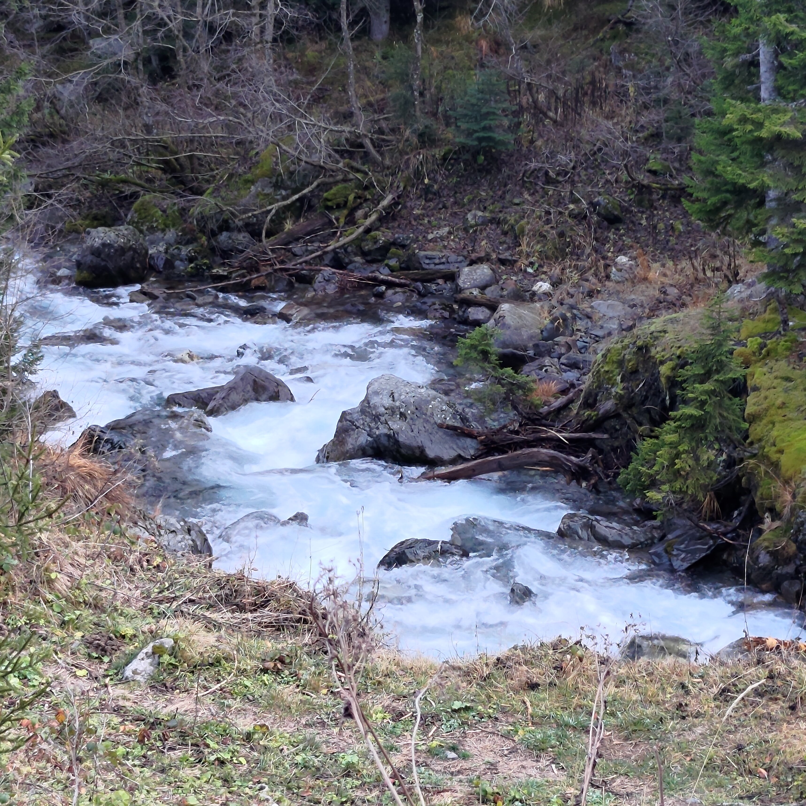 Фото ПихтаHouse