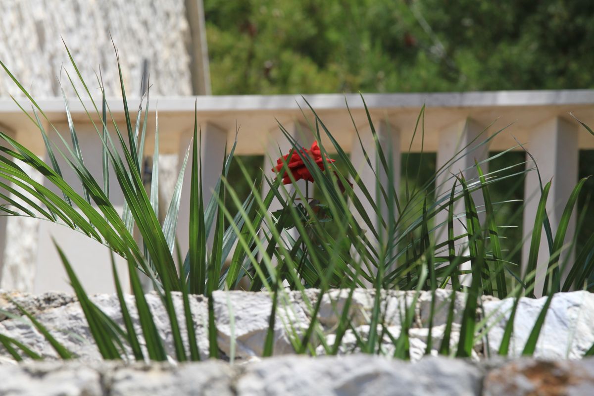 Фото Villa Ratac