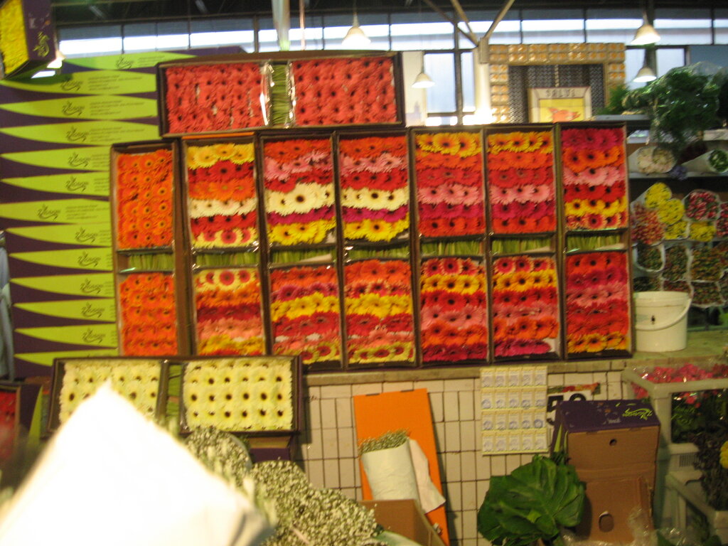 Рижский рынок москва