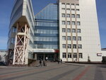 Сибирский федеральный университет, институт нефти и газа (Svobodny prospekt, 82с6), university