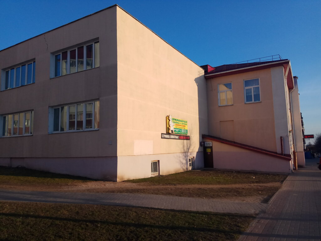 Veterinary clinic Aybolit Veterinarnaya klinika-apteka Ip Samodumsky M. B., Orsha, photo